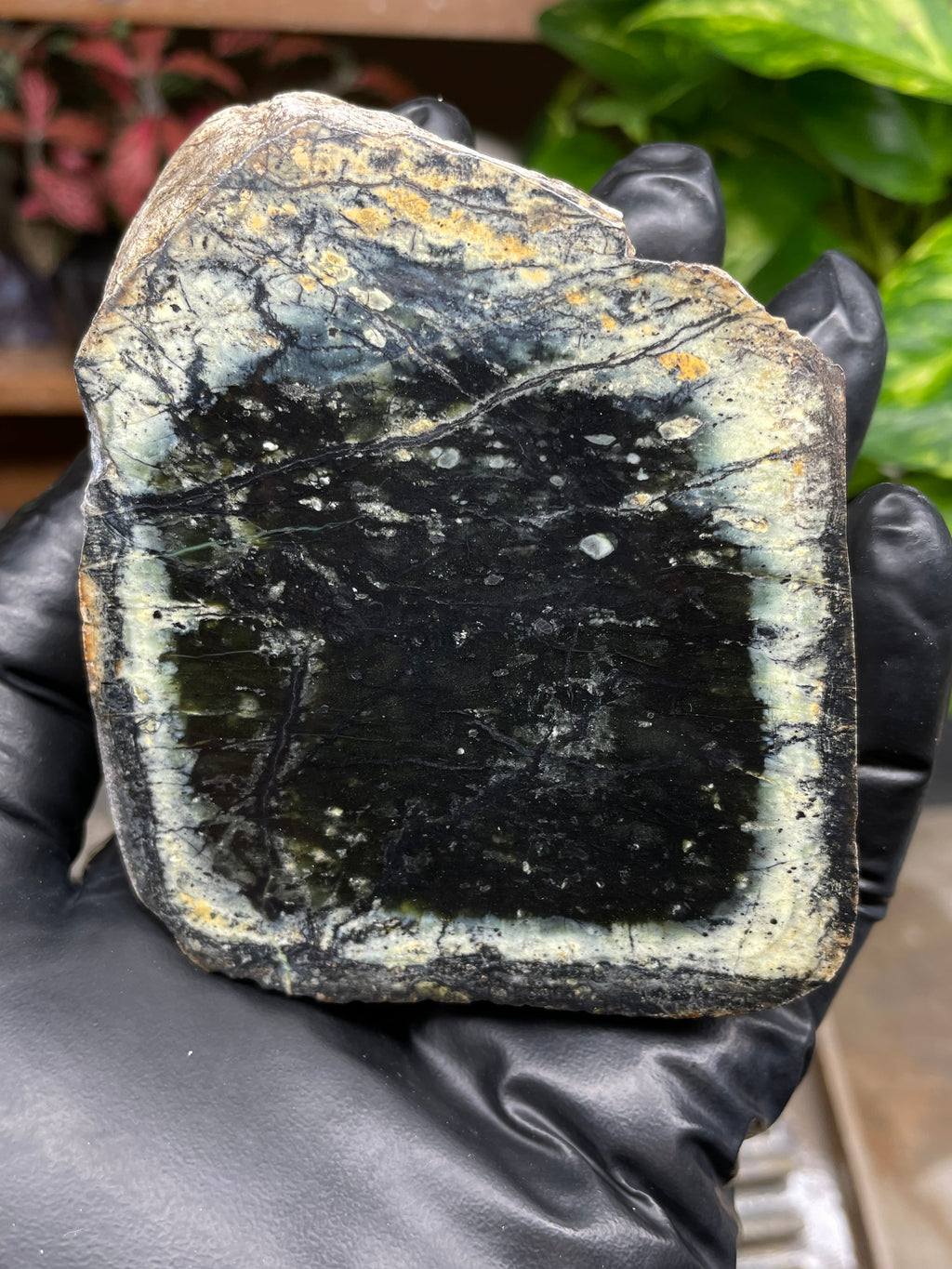 StoneBorn Creations Hand-Polished Vermont Serpentine Pair – River-Cut Matching Halves with Dark Core & Natural Green Halo