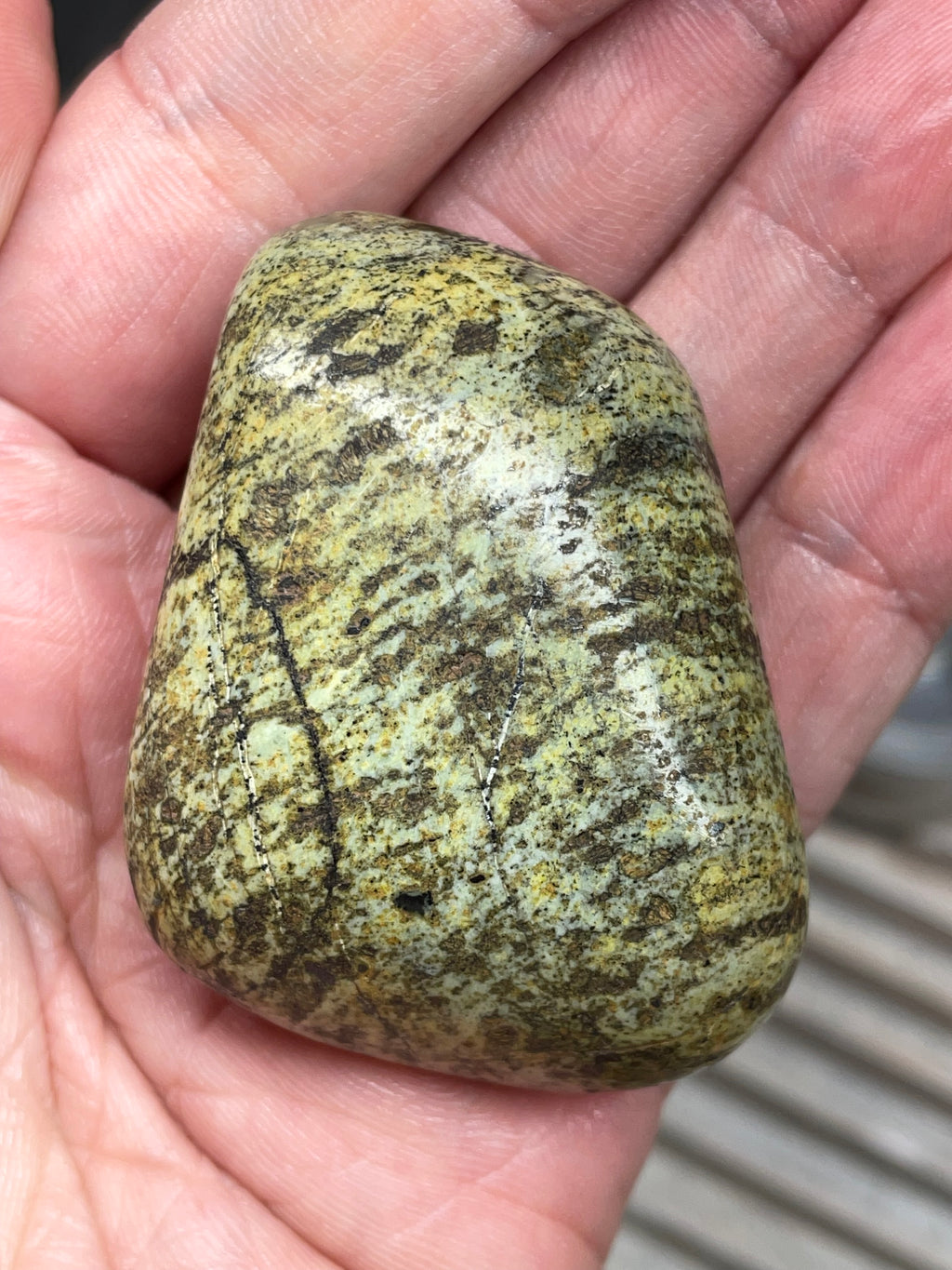 StoneBorn Creations • Hand-Polished Vermont Greenstone (Serpentine) • Moss & Shadow Speckle • Palm Stone