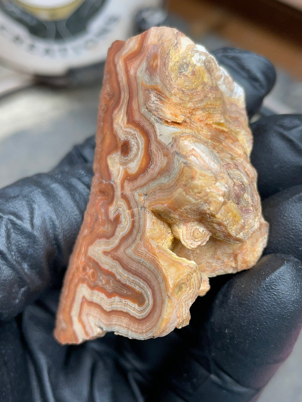 Hand-Polished Georgia Agate – Flat Polished Face, Natural Raw Edge