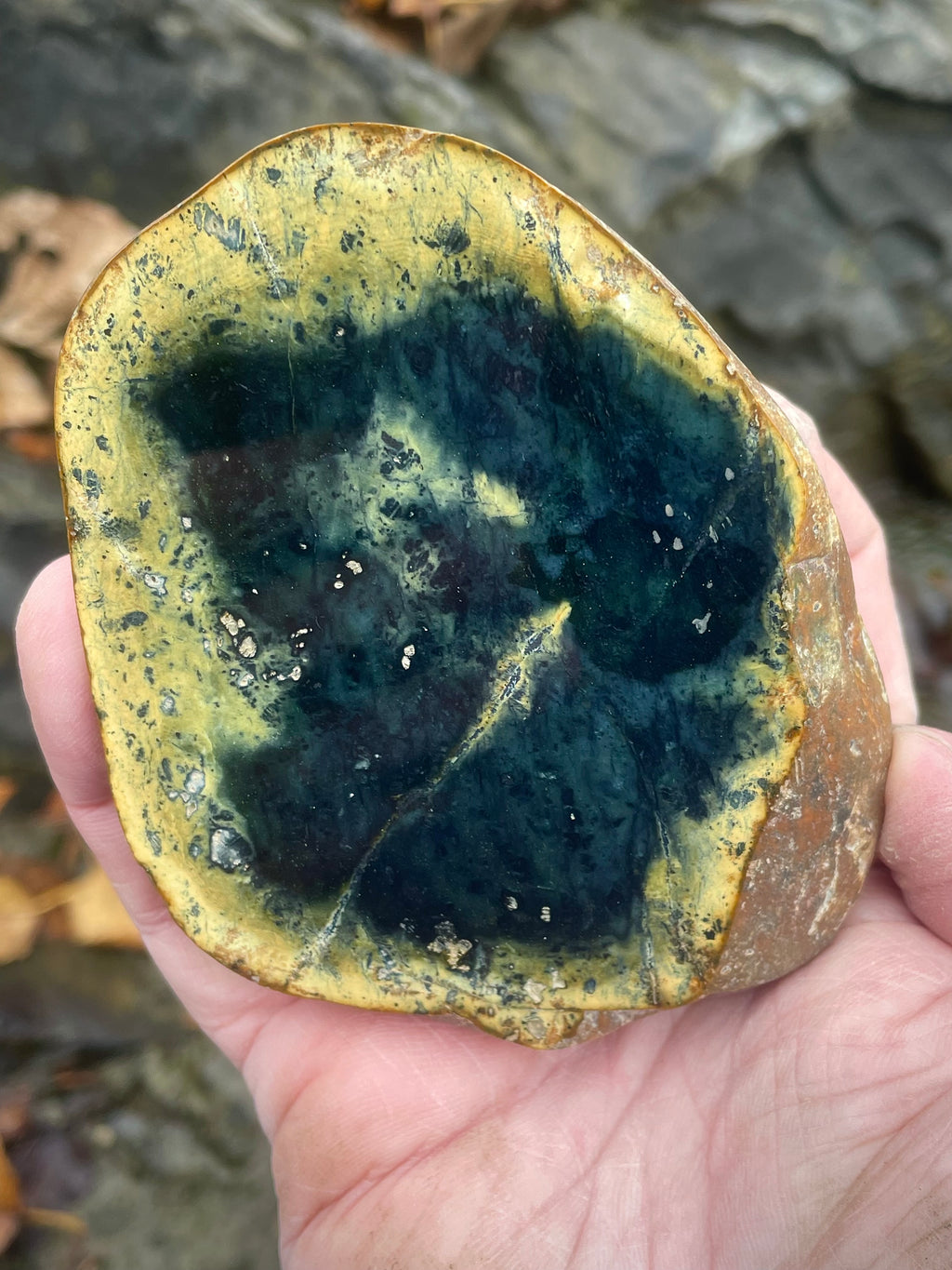 ✨Polished Vermont Greenstone – Golden Rim & Deep Teal Core