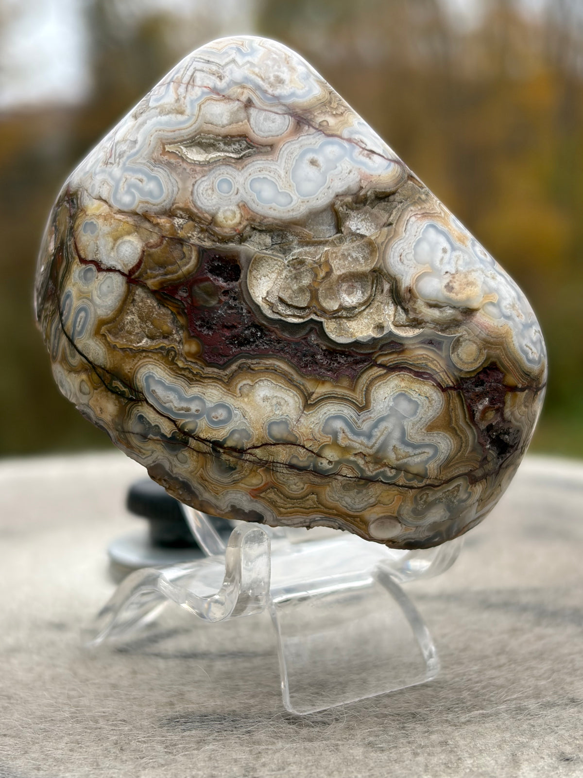 StoneBorn Creations – Crazy Lace Agate | Intricate Blue, Cream & Golden Banding | Hand-Polished Natural Stone