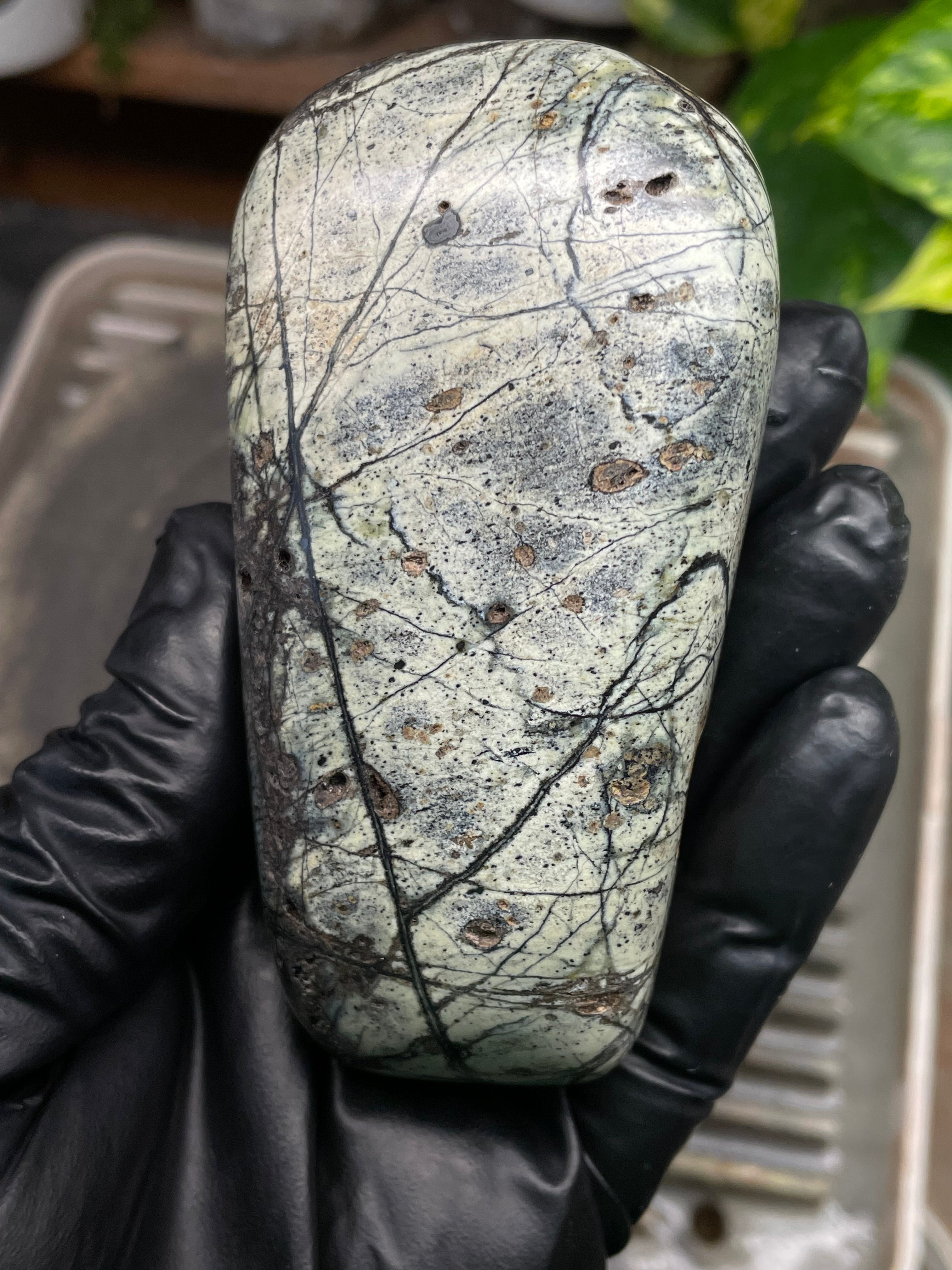 StoneBorn Creations Hand-Polished Vermont Serpentine with Spiderweb Veining, Soft Ivory Green Tones, and Natural Earth Markings