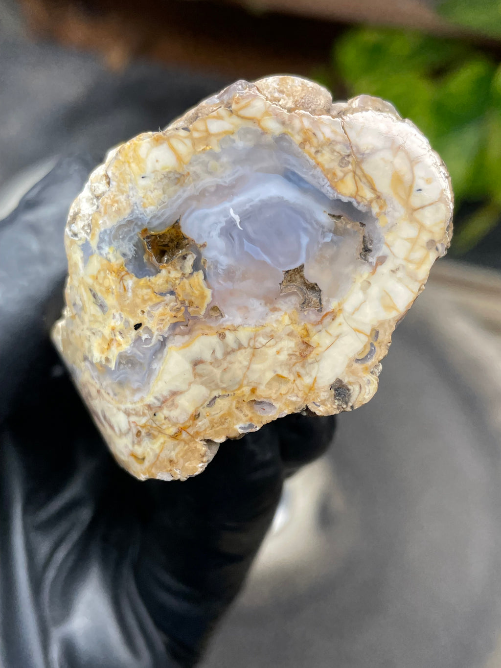 StoneBorn Creations Hand-Polished Curved Lace Agate with Natural Cream, Gold & Gray Banding – One-of-a-Kind Display Stone