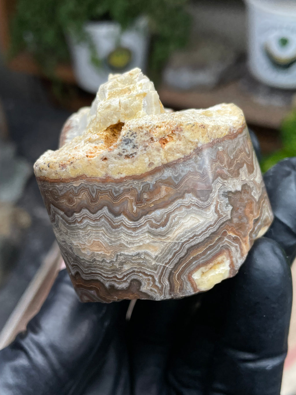 StoneBorn Creations Hand-Polished Banded Lace Agate with Natural Raw Top and Base – Intricate Earth-Toned Banding Freeform Finish