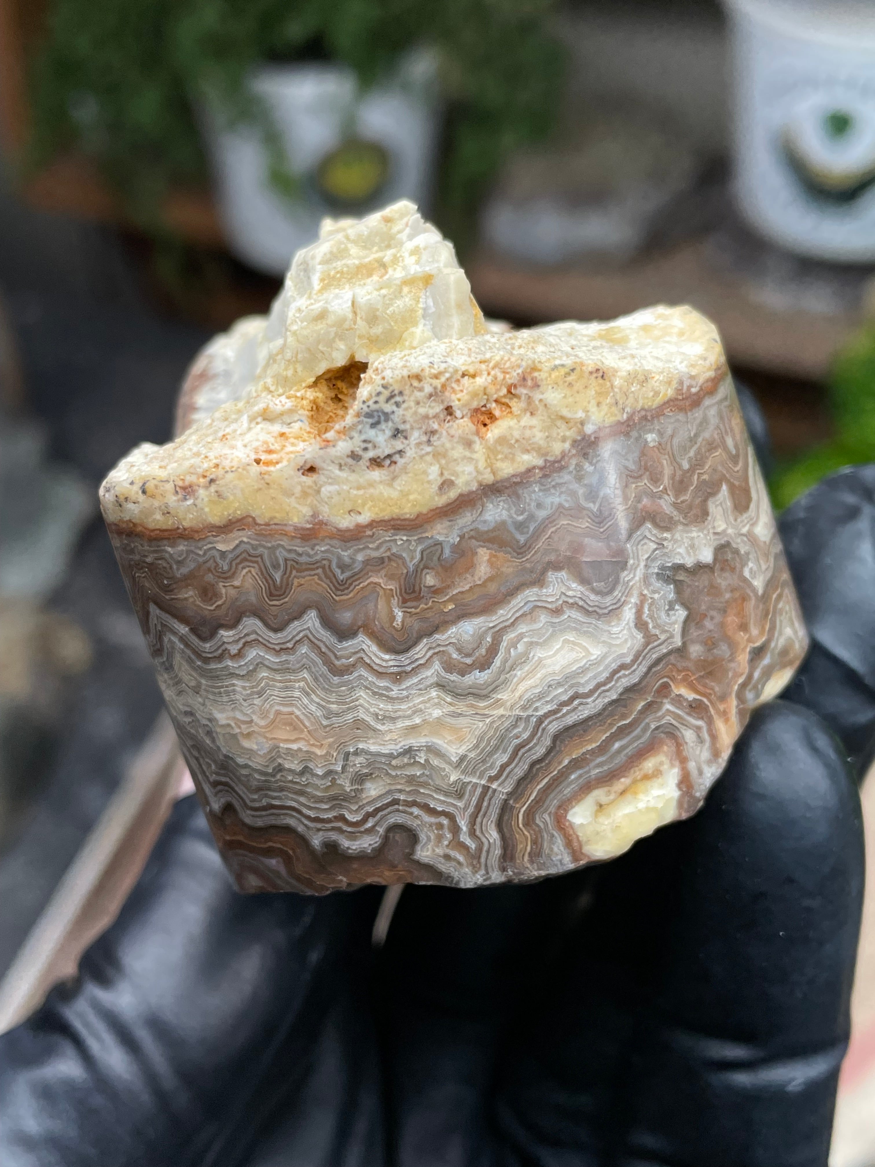StoneBorn Creations Hand-Polished Banded Lace Agate with Natural Raw Top and Base – Intricate Earth-Toned Banding Freeform Finish