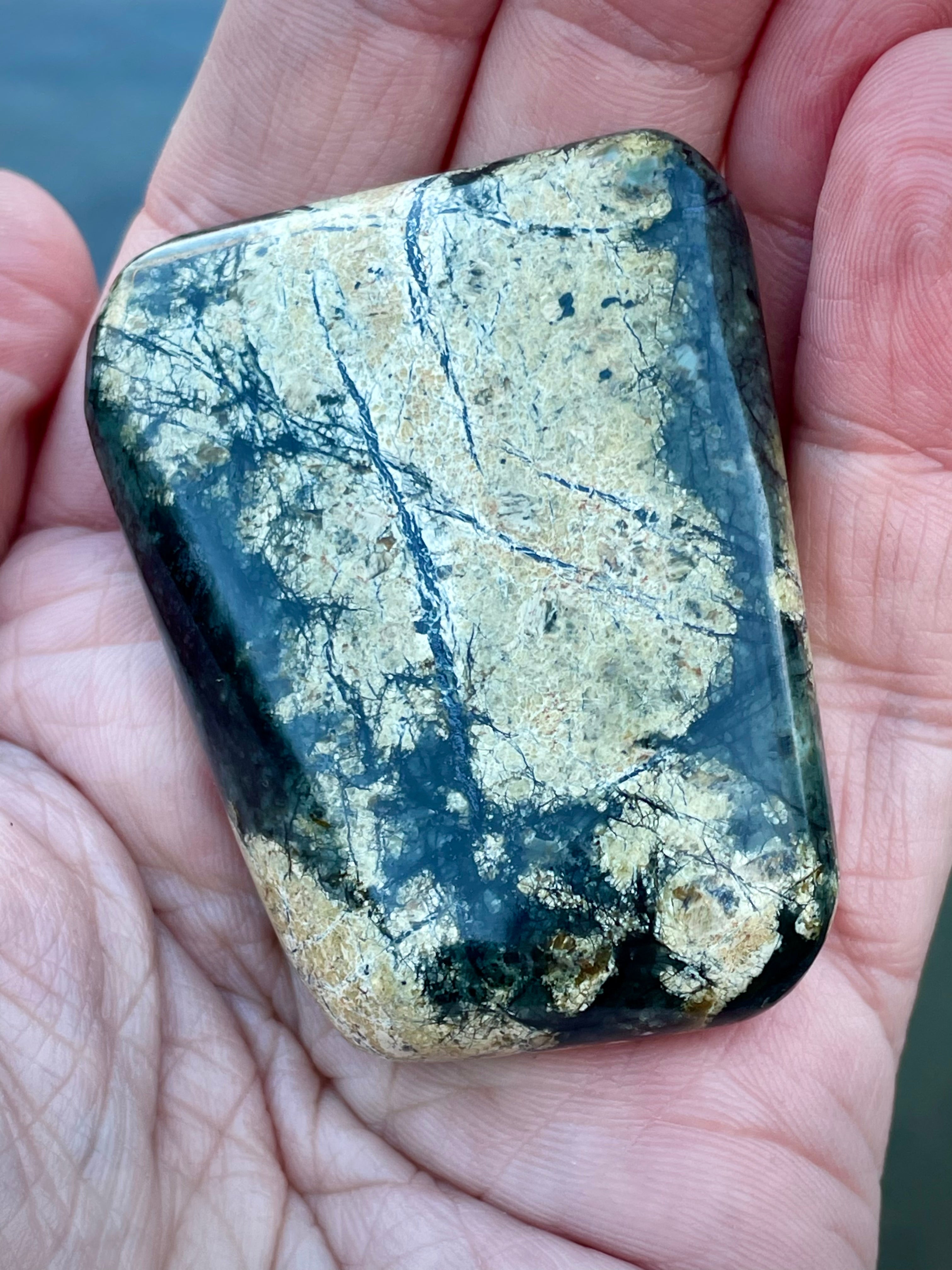 🌲 Polished Vermont Greenstone — Deep Forest Gold Vein (Hand-Collected & Finished)