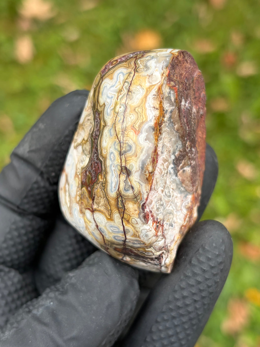 StoneBorn Creations – Crazy Lace Agate | Intricate Blue, Cream & Golden Banding | Hand-Polished Natural Stone