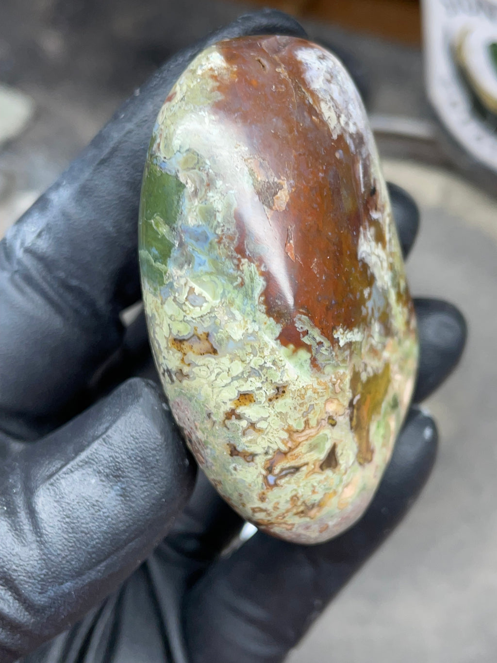 StoneBorn Creations Hand-Polished Multicolor Lace Agate with Natural Green and Rust Patterns – One-of-a-Kind Display Stone