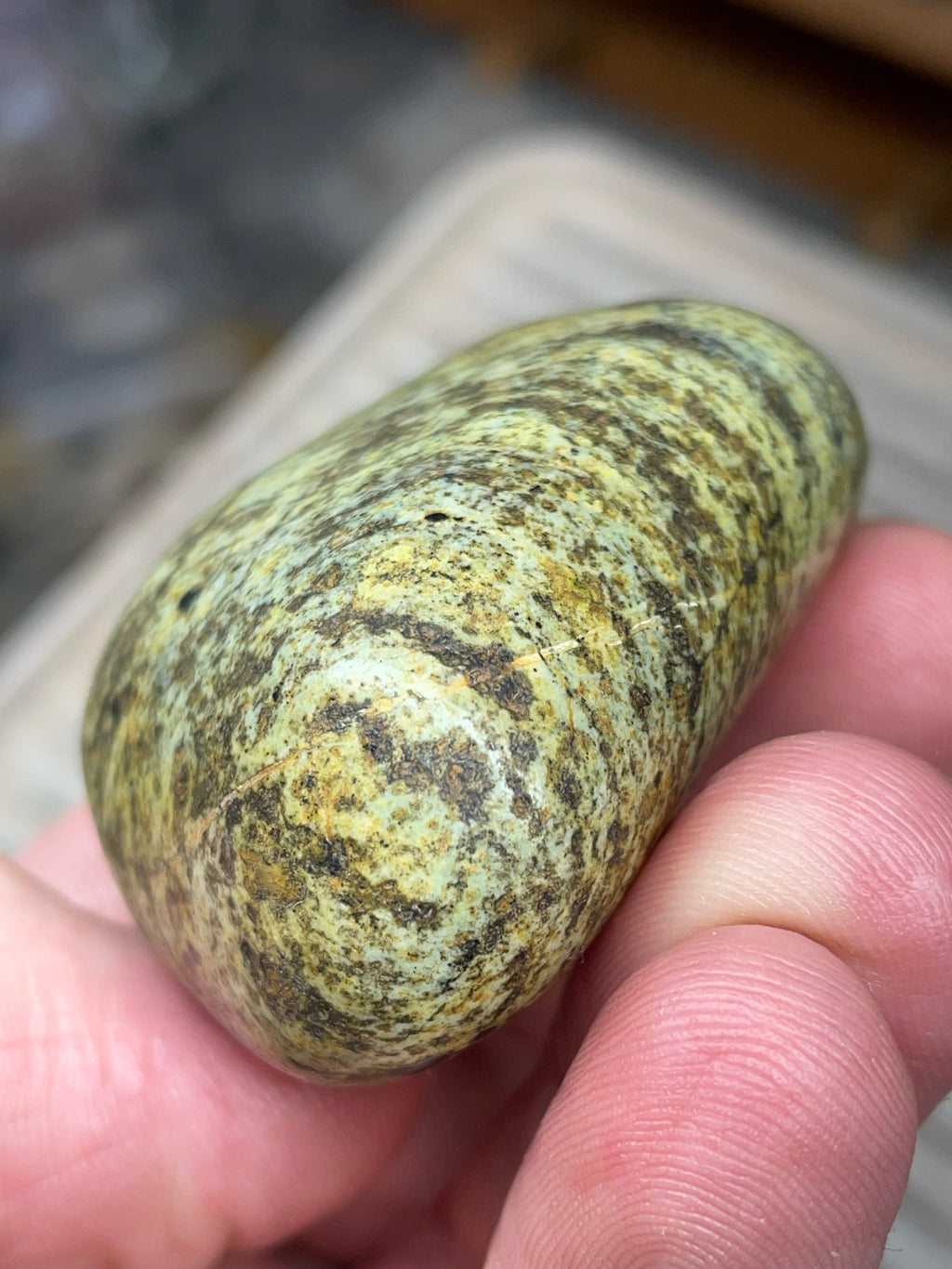 StoneBorn Creations • Hand-Polished Vermont Greenstone (Serpentine) • Moss & Shadow Speckle • Palm Stone