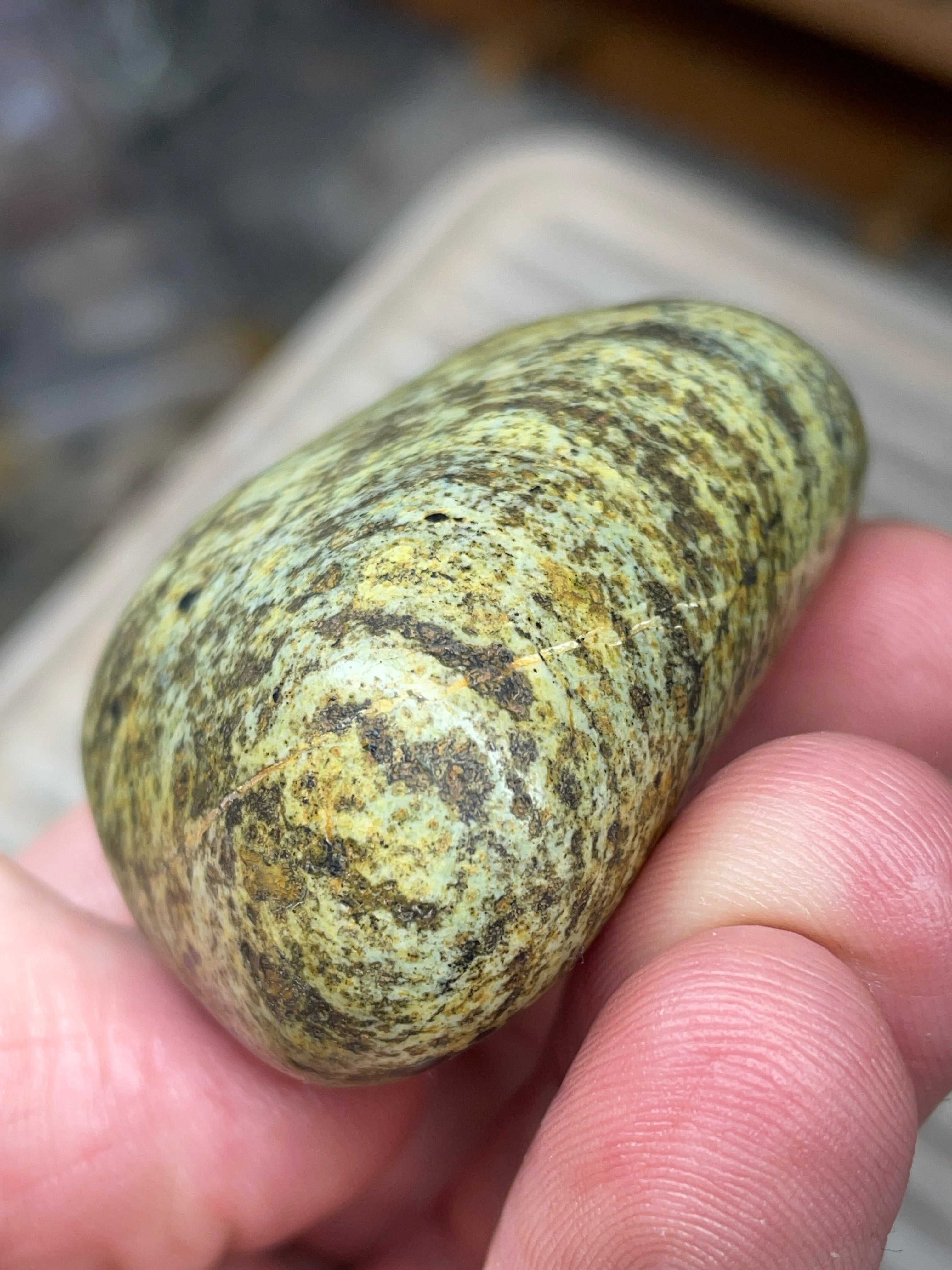 StoneBorn Creations • Hand-Polished Vermont Greenstone (Serpentine) • Moss & Shadow Speckle • Palm Stone