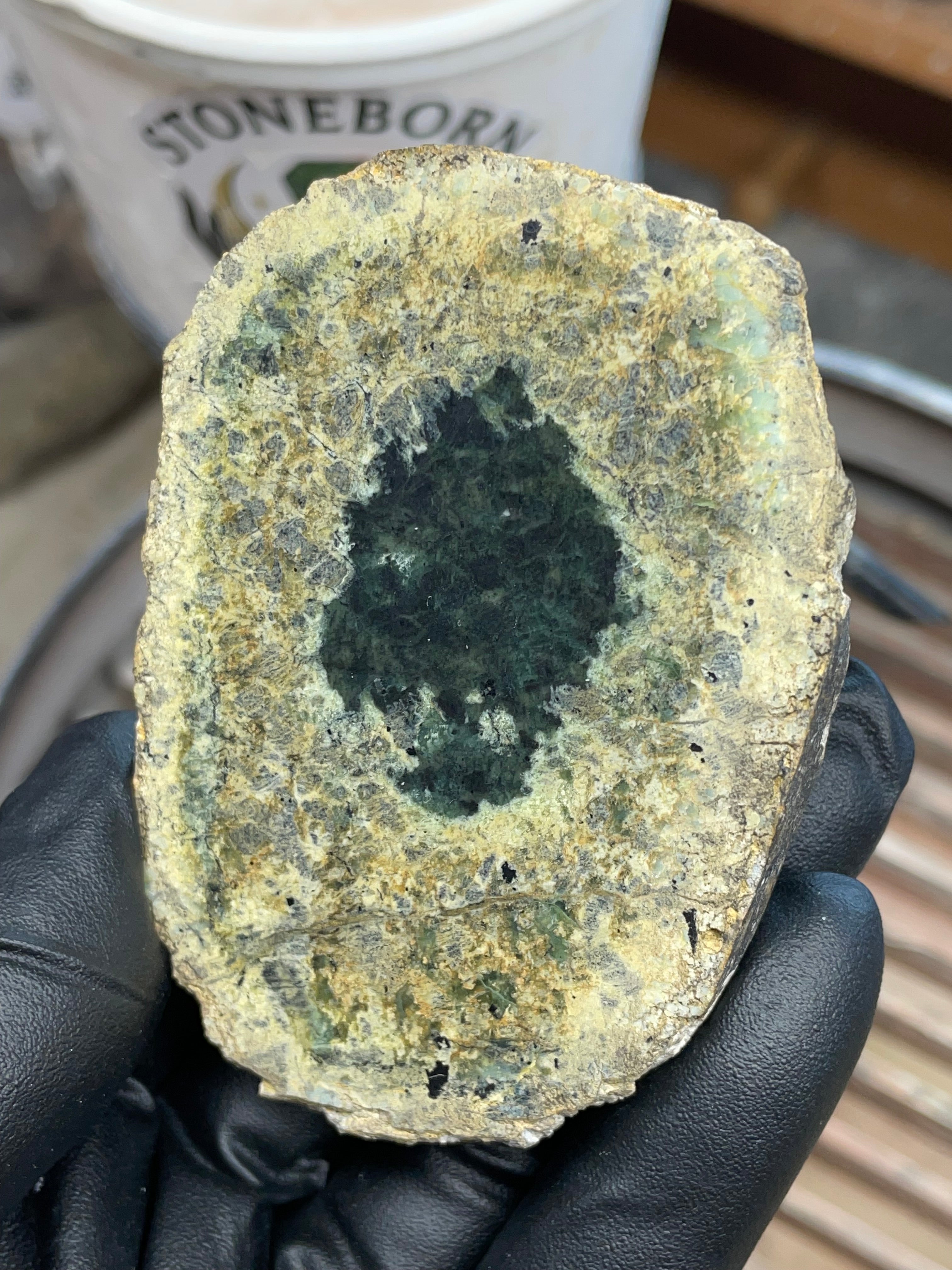 Hand-Collected Serpentine with Natural Jade Core | Raw & Polished StoneBorn Specimen