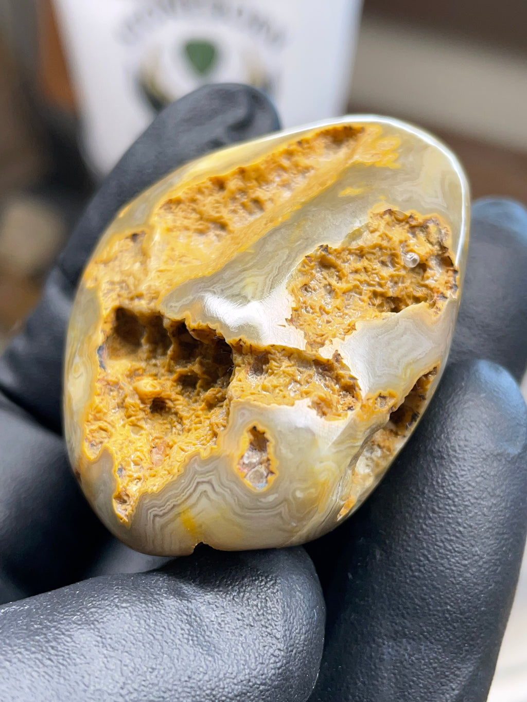 Hand-Polished Lace Agate – Natural Pocket Stone