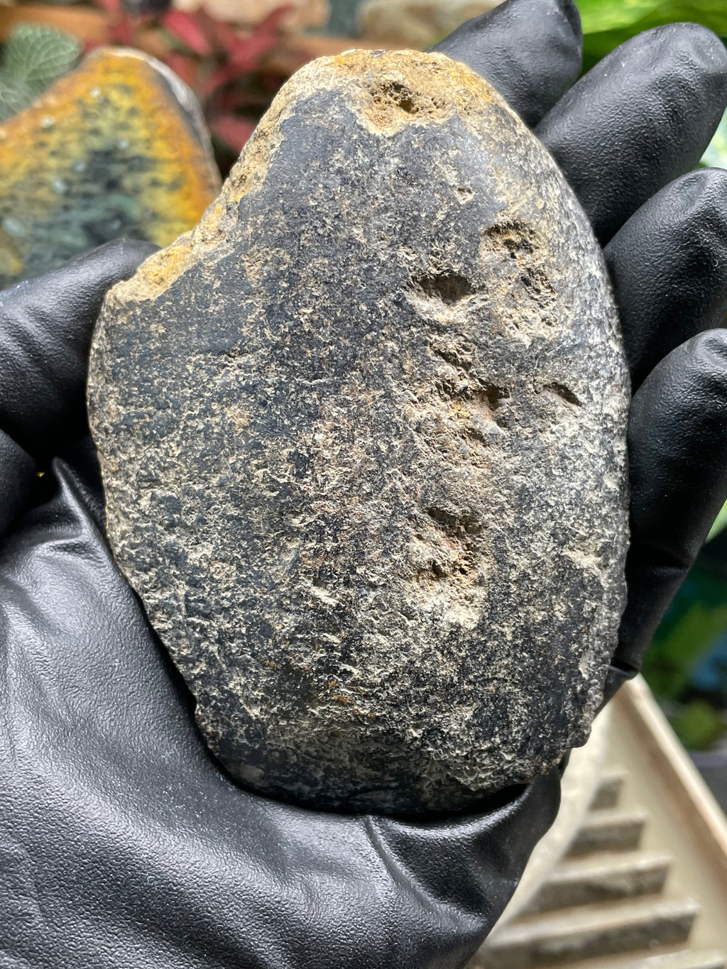 StoneBorn Creations Hand-Polished Vermont Greenstone Pair with Earthy Ochre Weathering and Natural Black Mineral Patterning – Freeform Display Halves