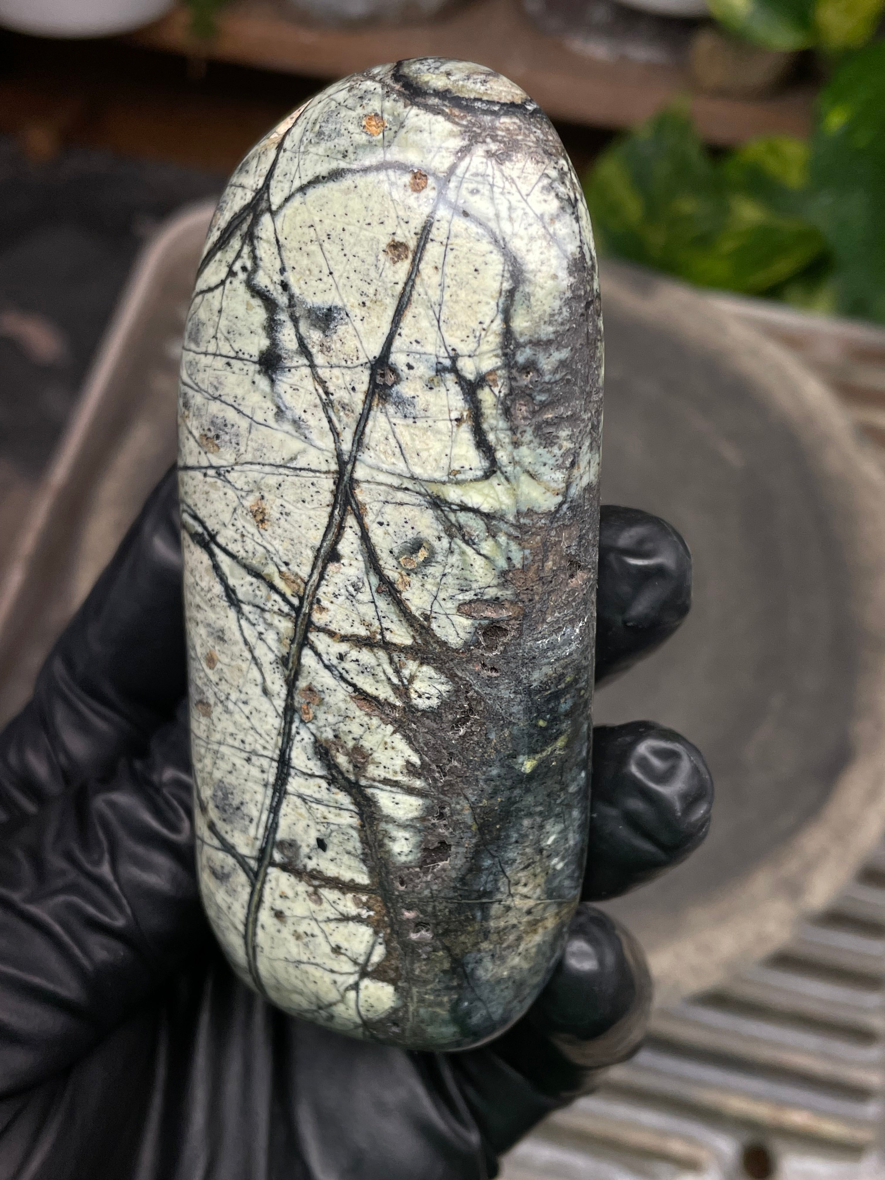 StoneBorn Creations Hand-Polished Vermont Serpentine with Spiderweb Veining, Soft Ivory Green Tones, and Natural Earth Markings