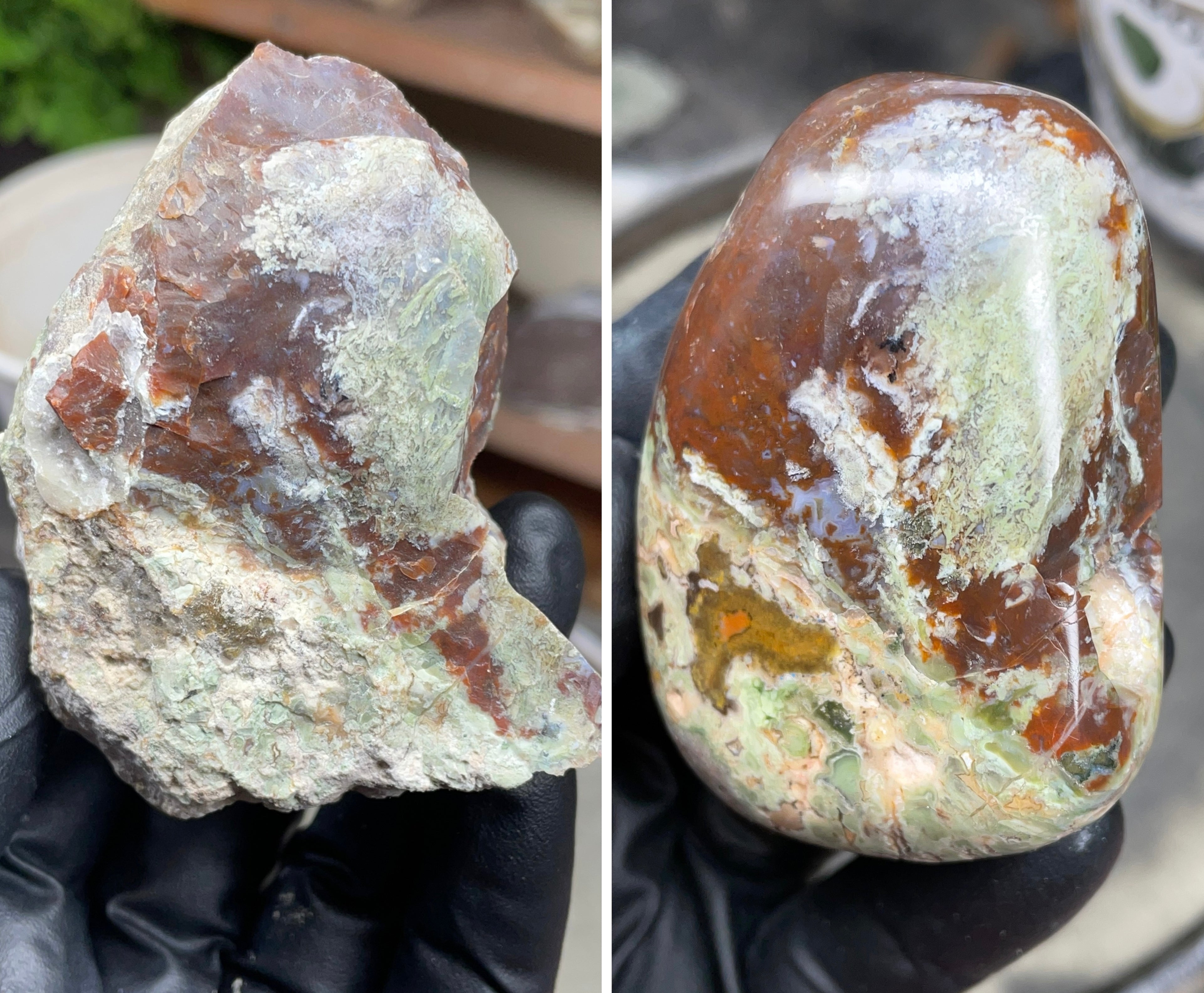 StoneBorn Creations Hand-Polished Multicolor Lace Agate with Natural Green and Rust Patterns – One-of-a-Kind Display Stone