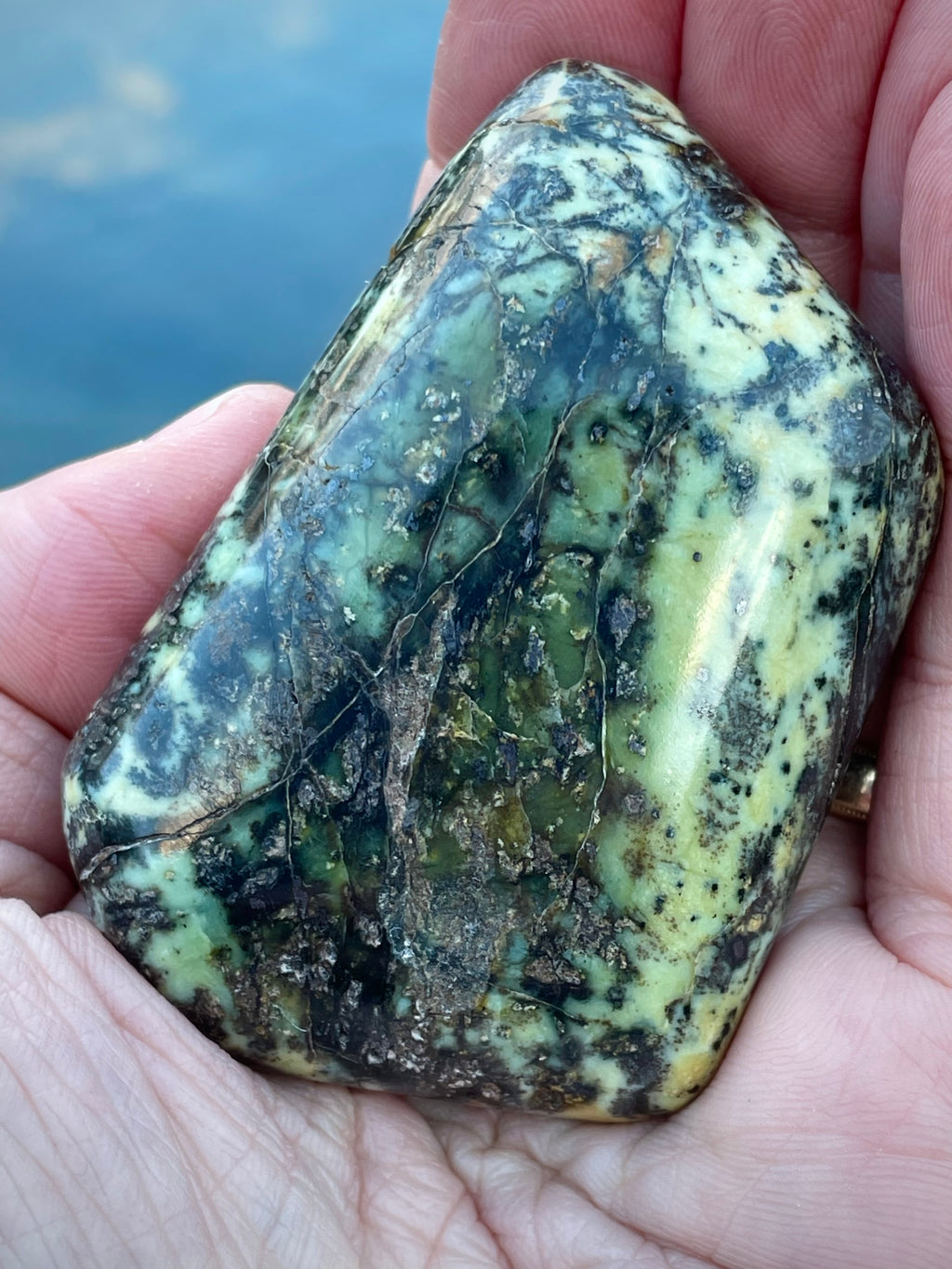 🌿 Polished Vermont Serpentine — Frosted Forest Pattern (Hand-Collected & Crafted)