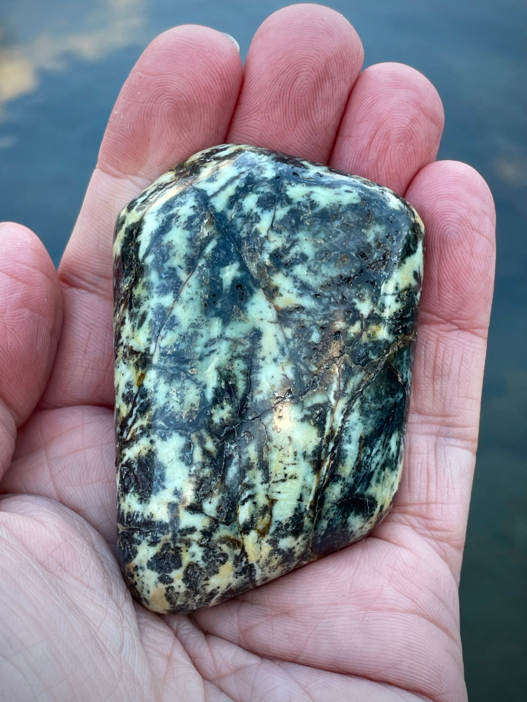 🌿 Polished Vermont Serpentine — Frosted Forest Pattern (Hand-Collected & Crafted)