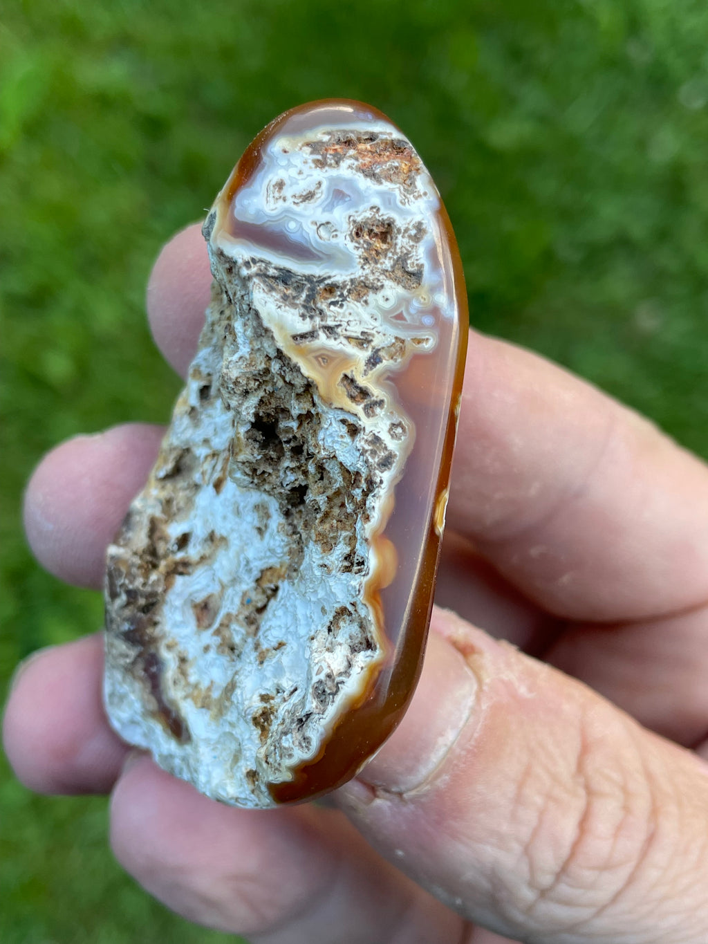 StoneBorn Creations Hand-Polished Agatized Coral Freeform with Amber Chalcedony, Orbicular Eyes & UV Fluorescence