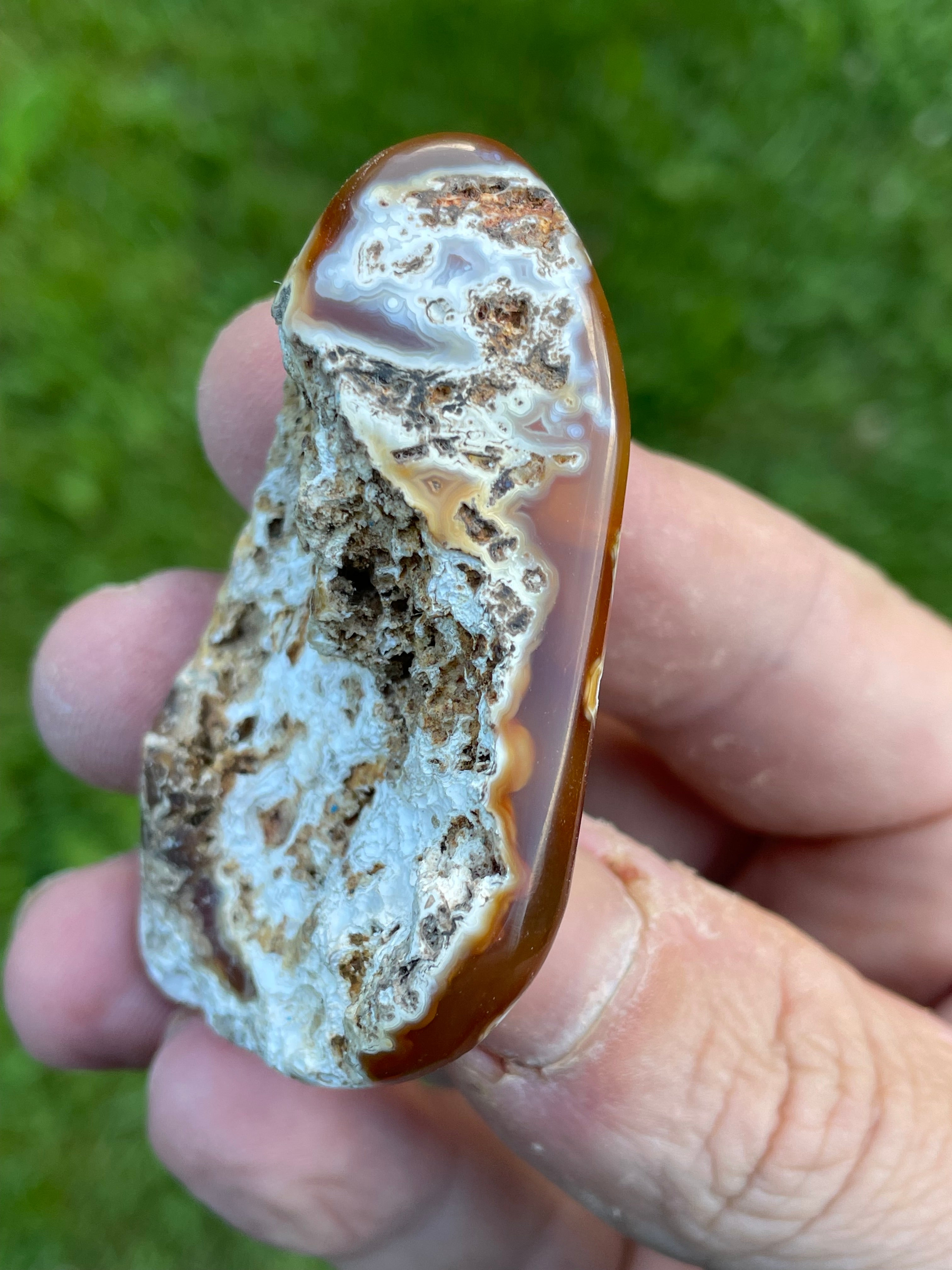 StoneBorn Creations Hand-Polished Agatized Coral Freeform with Amber Chalcedony, Orbicular Eyes & UV Fluorescence