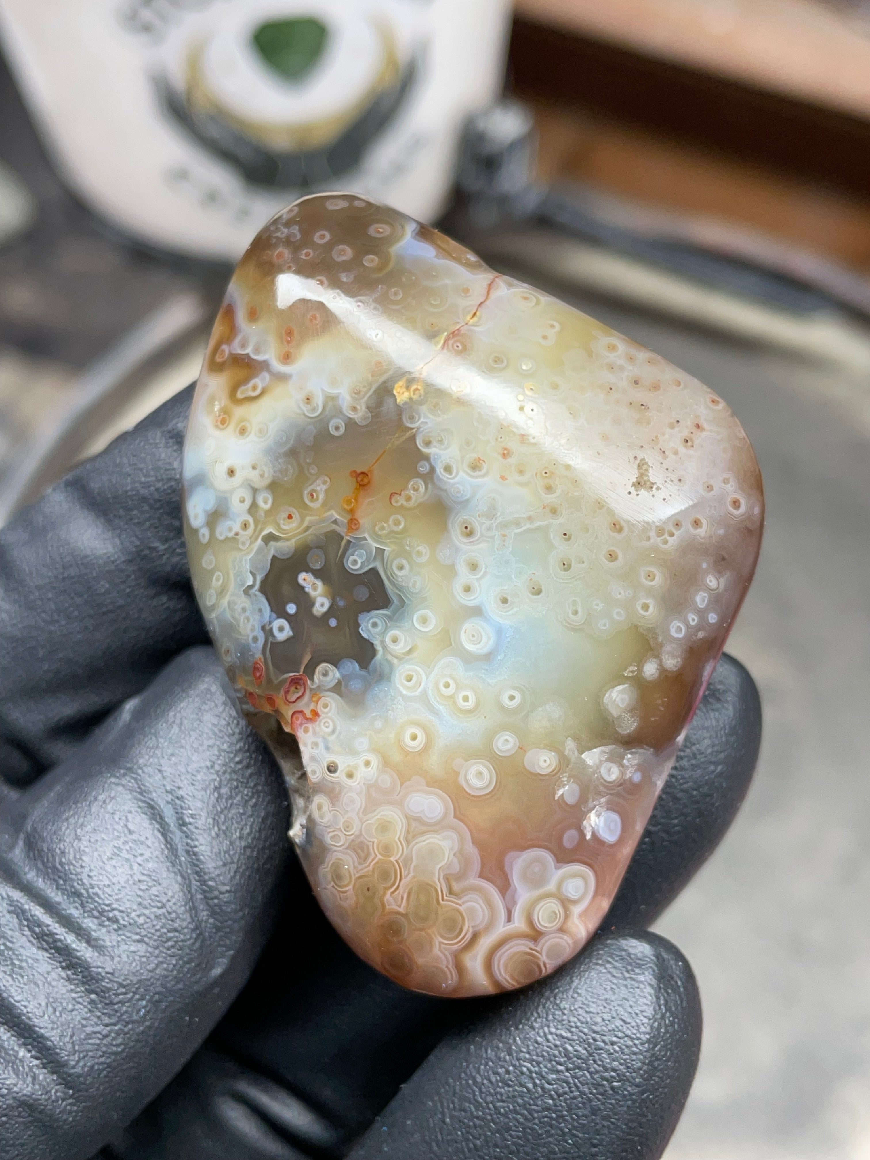 StoneBorn Creations Hand-Polished Botswana Agate – Orbicular “Eye” Patterns with Natural Pocket