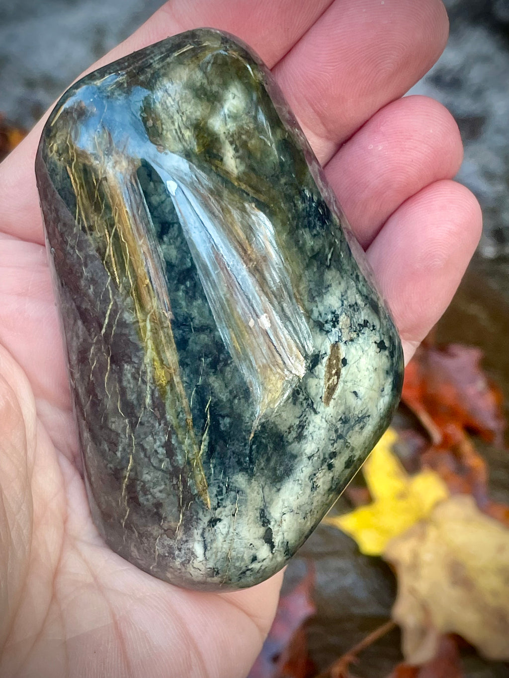 Polished Vermont Actinolite With Golden Tremolite Blades • Rare Crystal Formation
