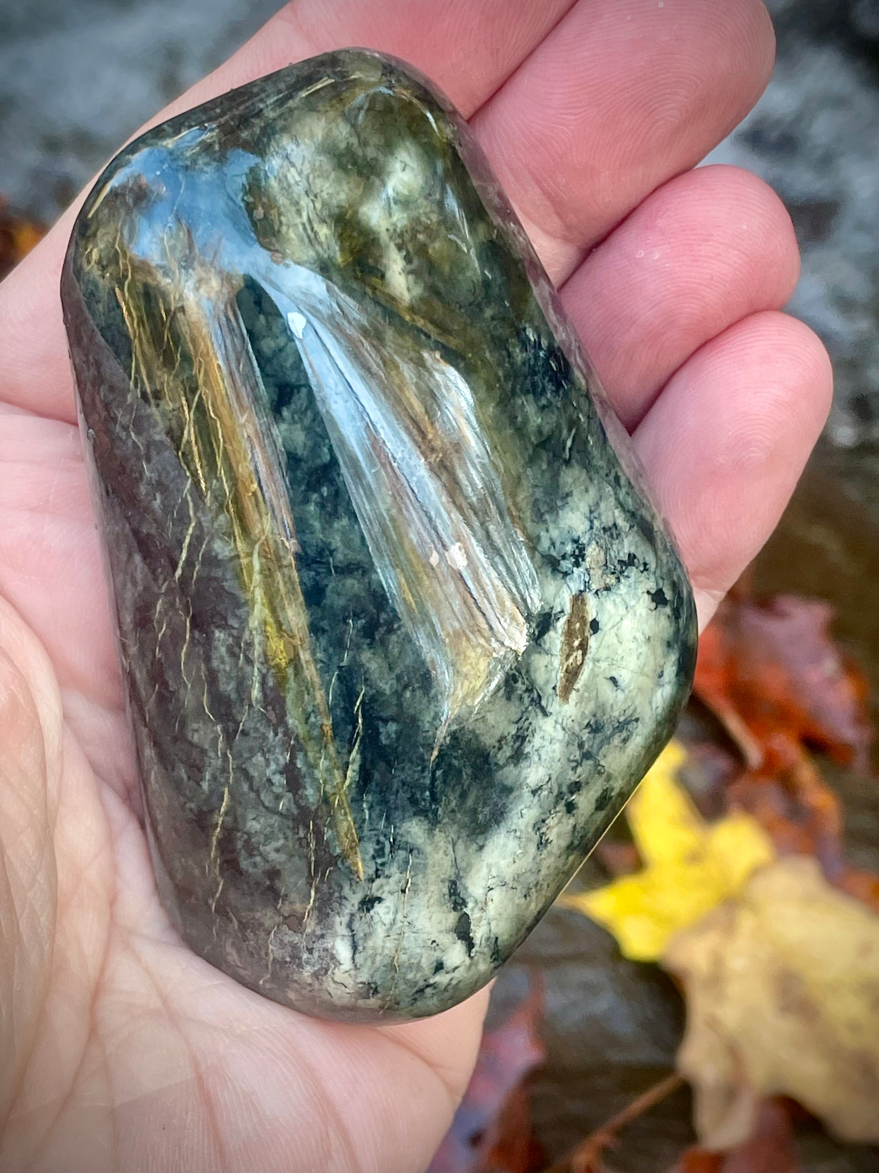 Polished Vermont Actinolite With Golden Tremolite Blades • Rare Crystal Formation