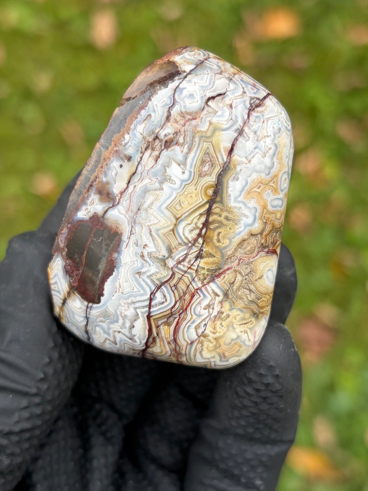 StoneBorn Creations – Crazy Lace Agate | Intricate Blue, Cream & Golden Banding | Hand-Polished Natural Stone