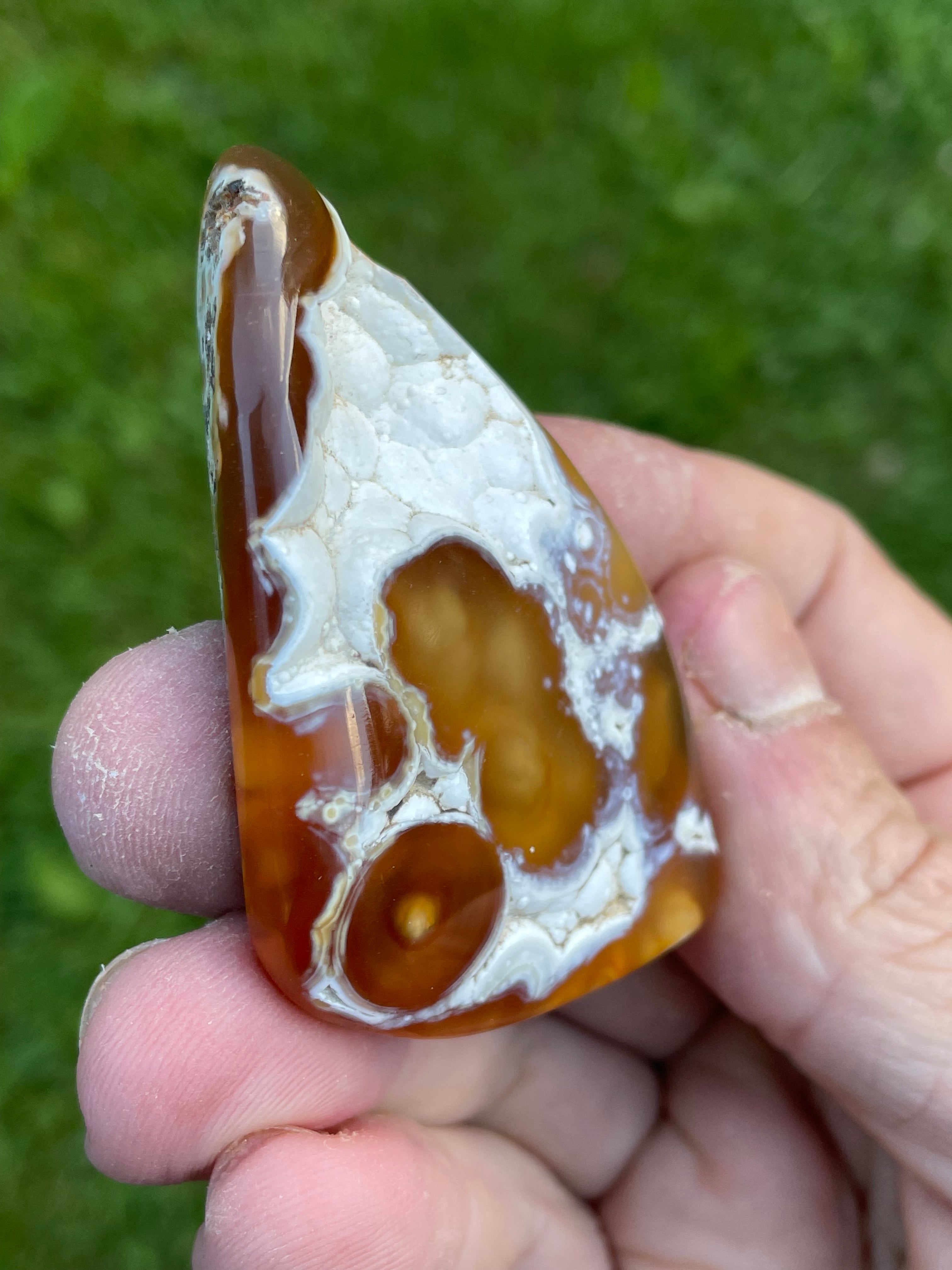 StoneBorn Creations Hand-Polished Agatized Coral Freeform with Amber Chalcedony, Orbicular Eyes & UV Fluorescence