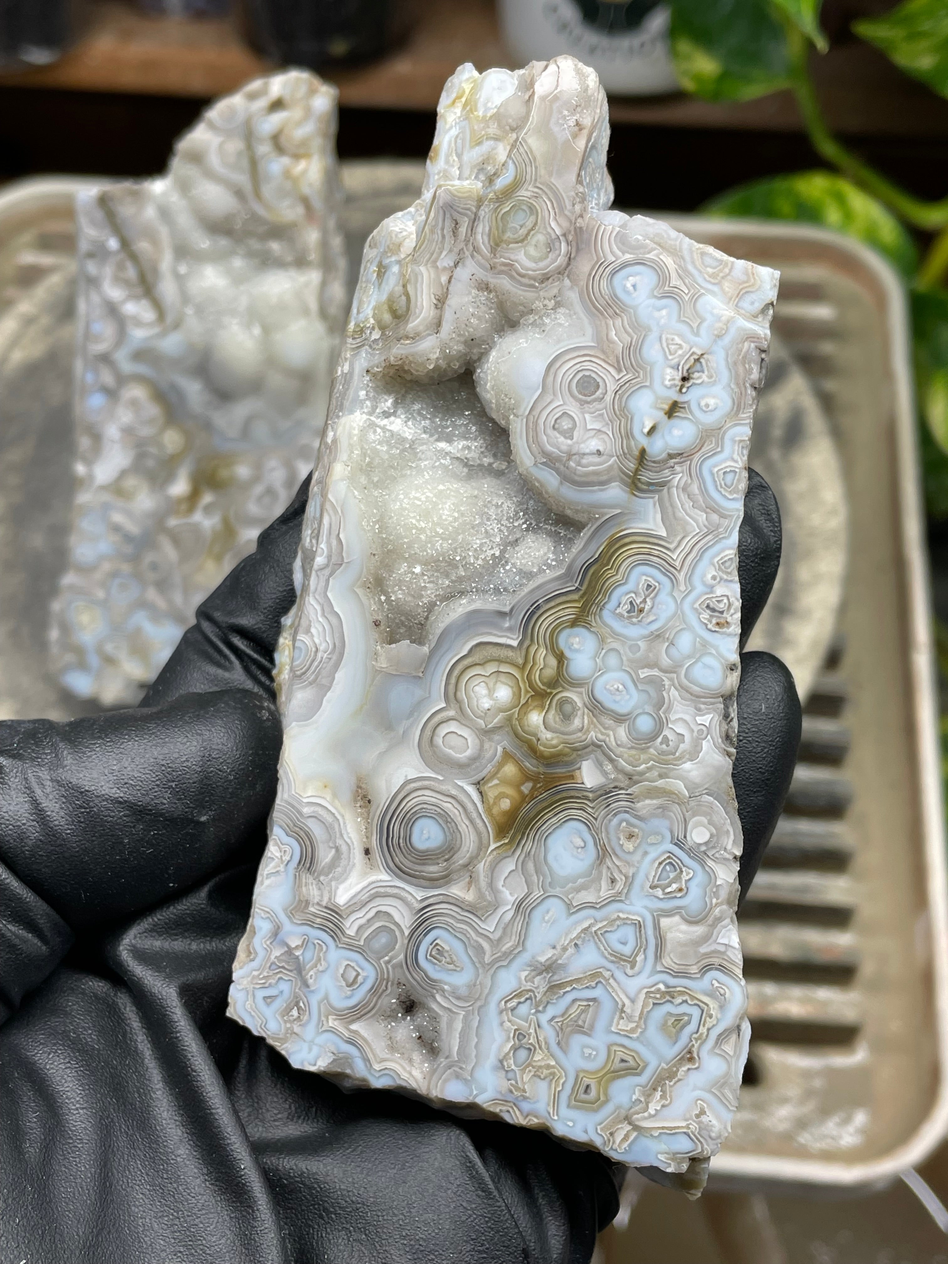StoneBorn Creations Hand-Polished Lace Agate Pair – River Cut Matching Display Halves with Druzy Crystal Pockets & Intricate Natural Banding