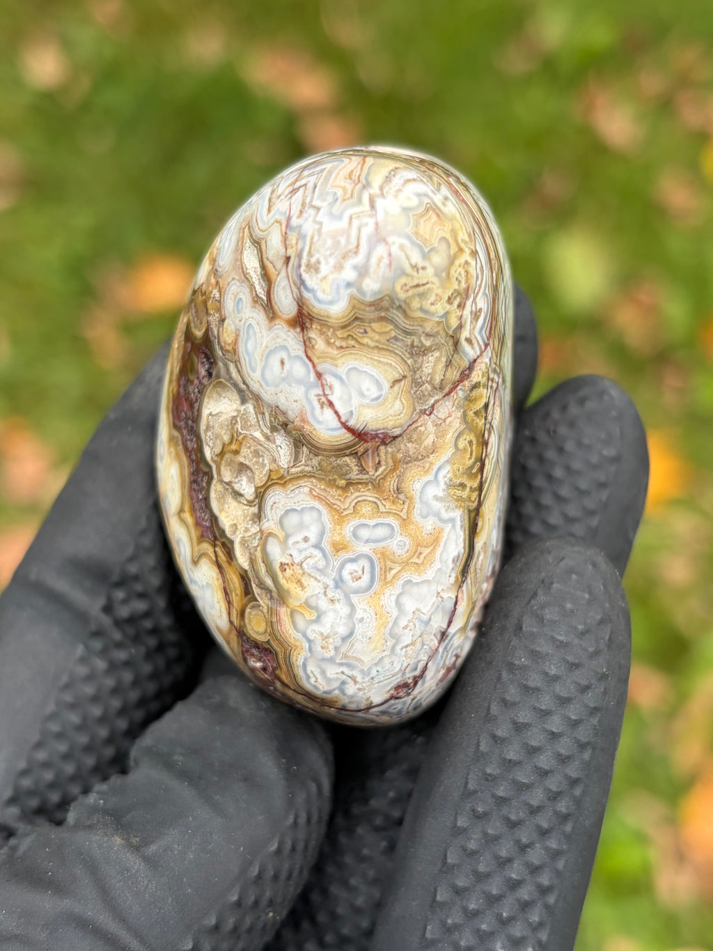 StoneBorn Creations – Crazy Lace Agate | Intricate Blue, Cream & Golden Banding | Hand-Polished Natural Stone