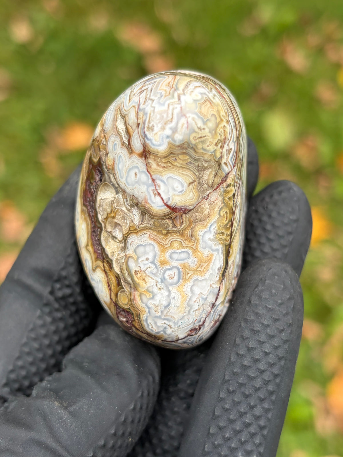 StoneBorn Creations – Crazy Lace Agate | Intricate Blue, Cream & Golden Banding | Hand-Polished Natural Stone