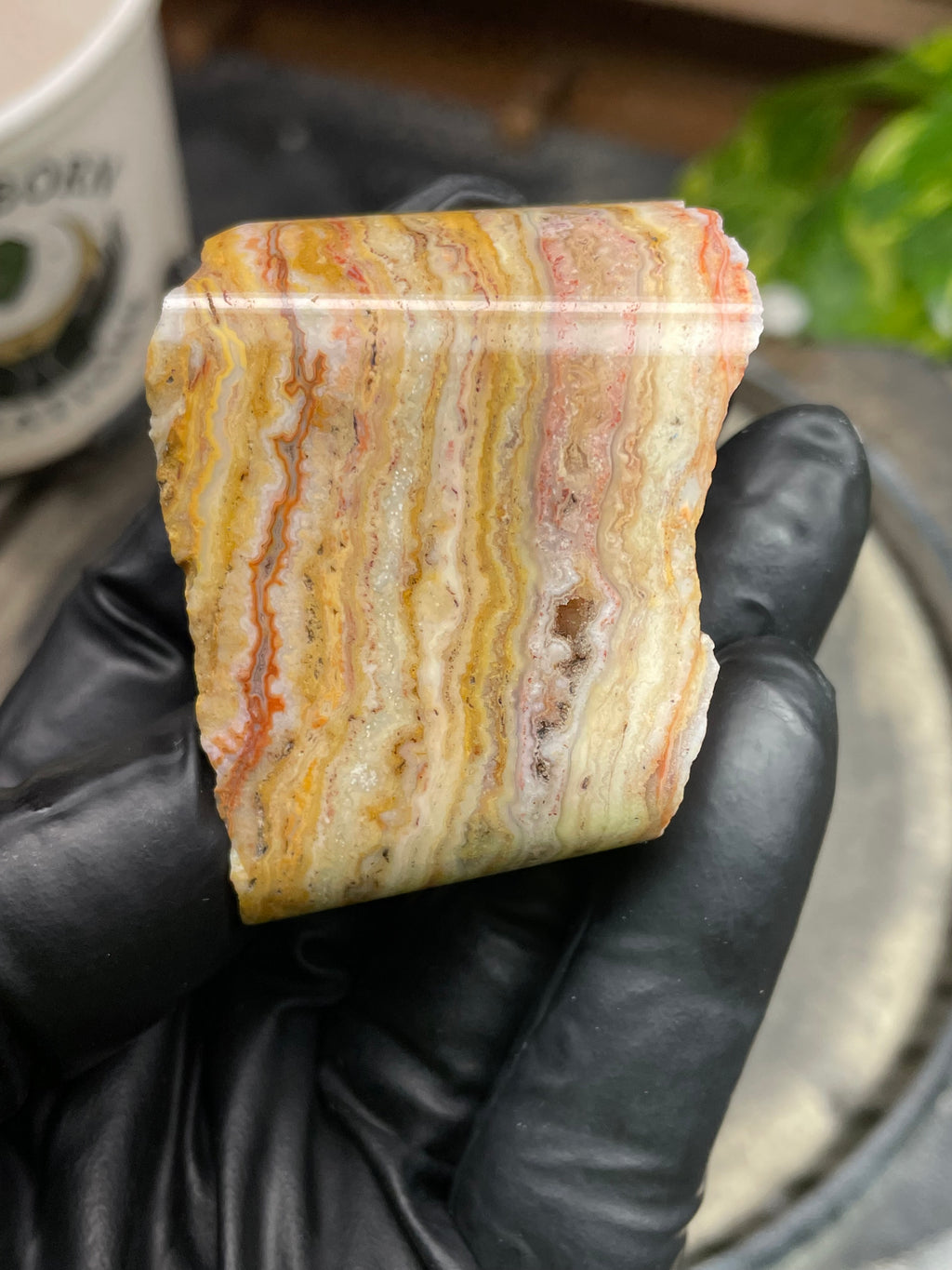 Hand-Polished Banded Agate with Warm Golden Layers and Intricate Lace Patterning