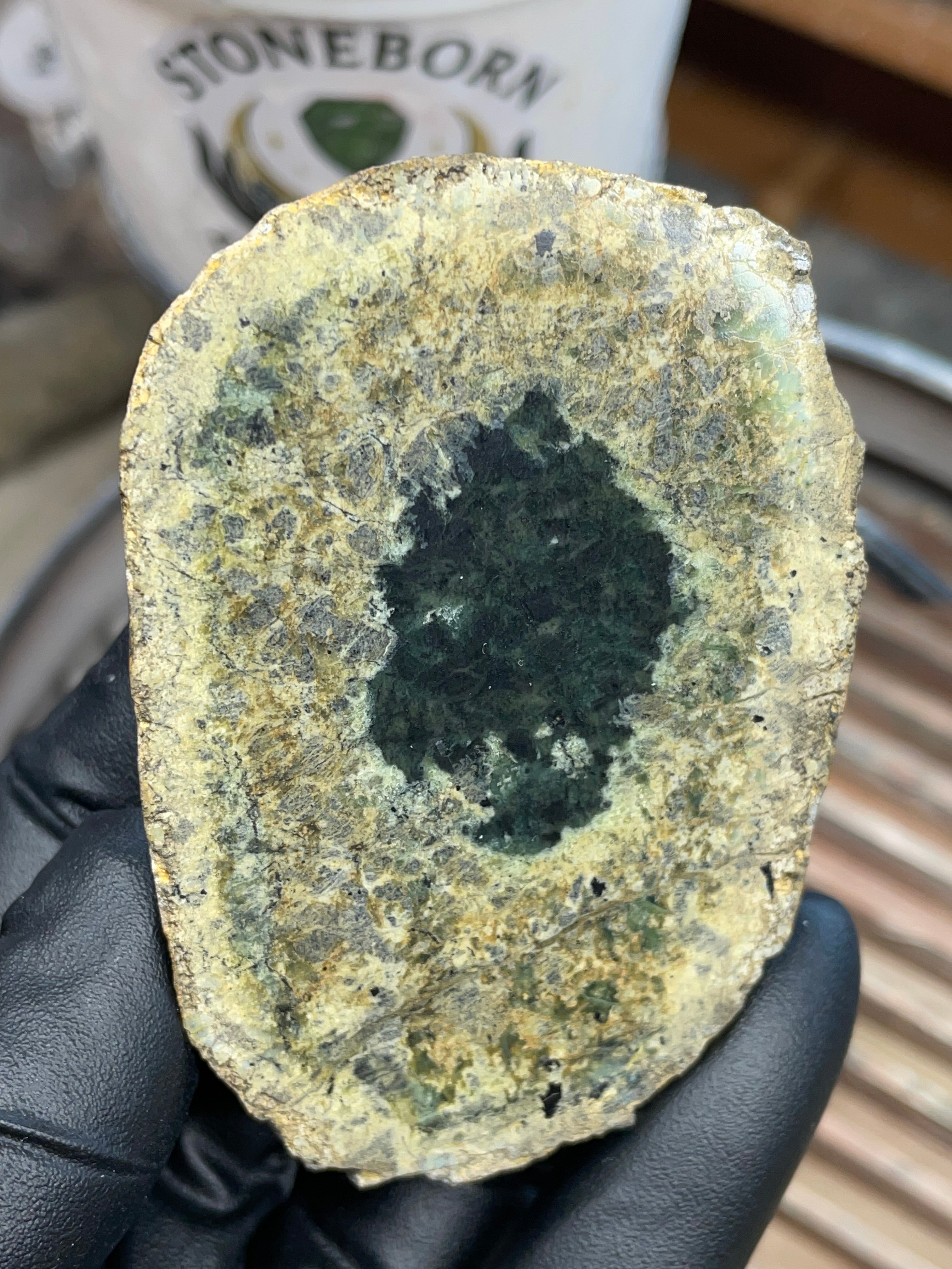 Hand-Collected Serpentine with Natural Jade Core | Raw & Polished StoneBorn Specimen