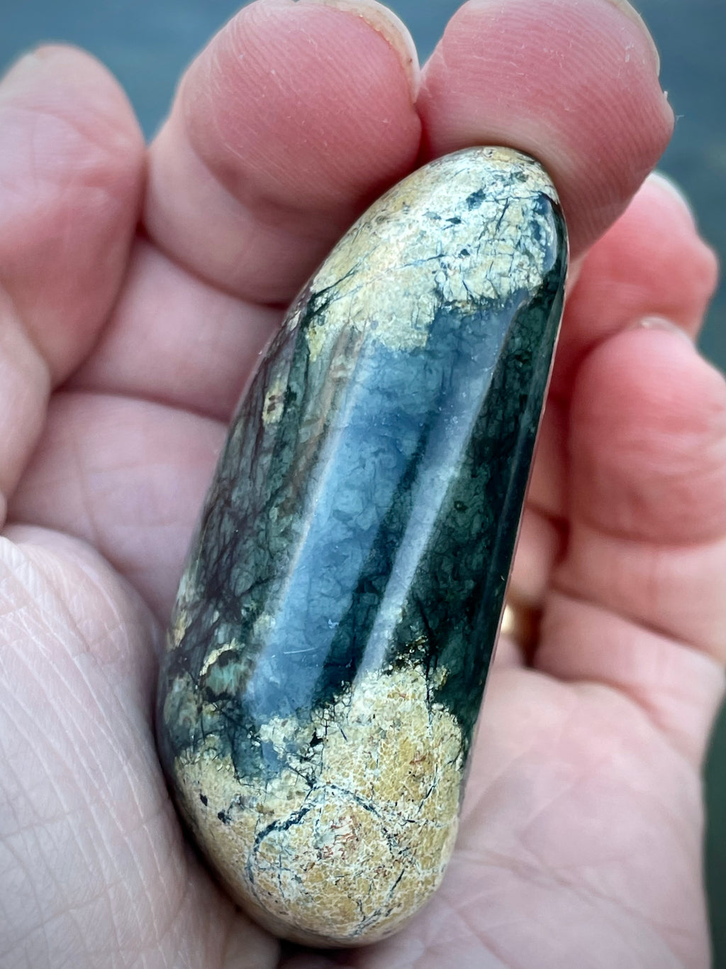 🌲 Polished Vermont Greenstone — Deep Forest Gold Vein (Hand-Collected & Finished)
