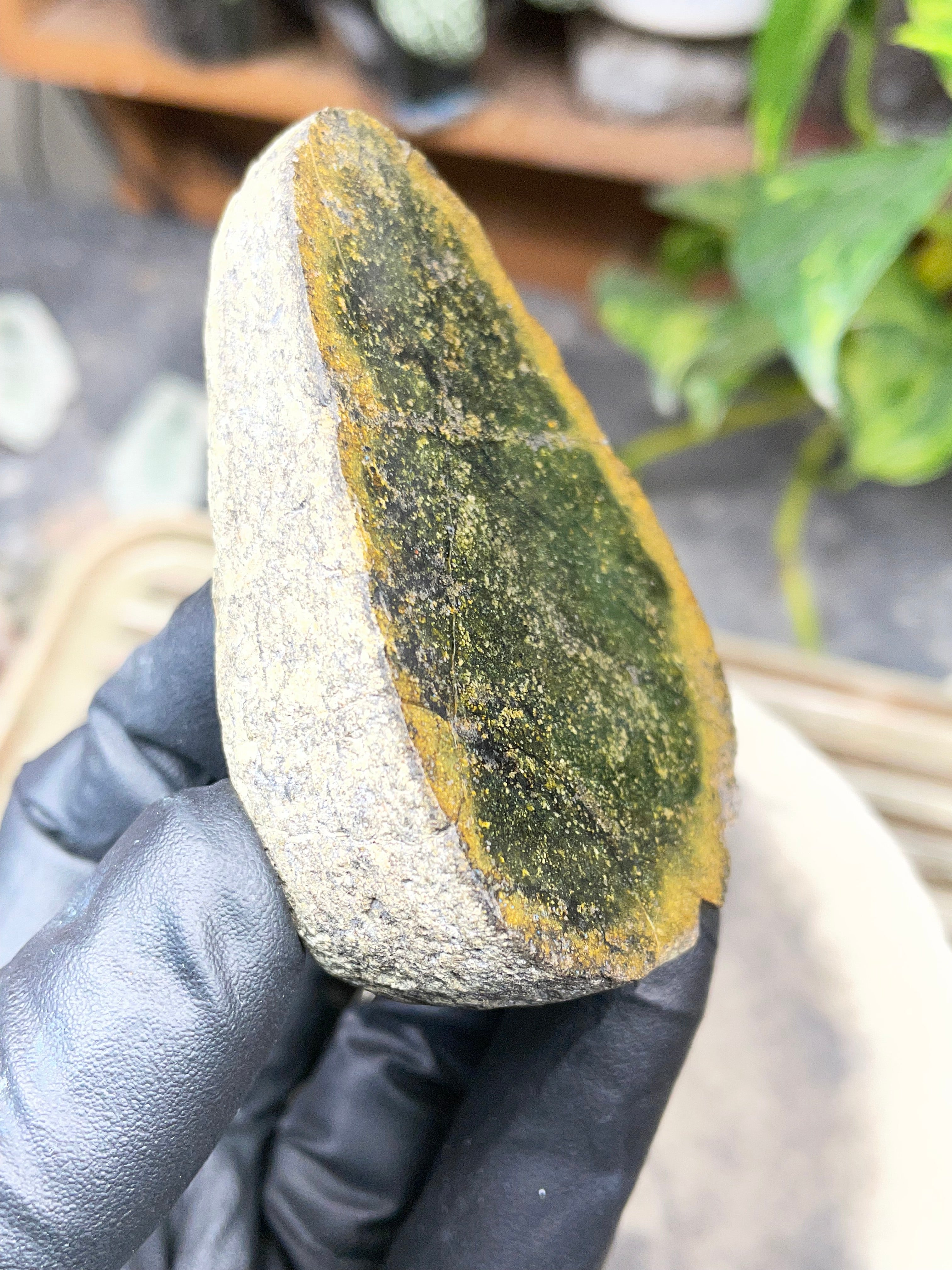 StoneBorn Creations Hand-Polished Vermont Serpentine Freeform Display Stone | Natural Green Reveal | Raw Back