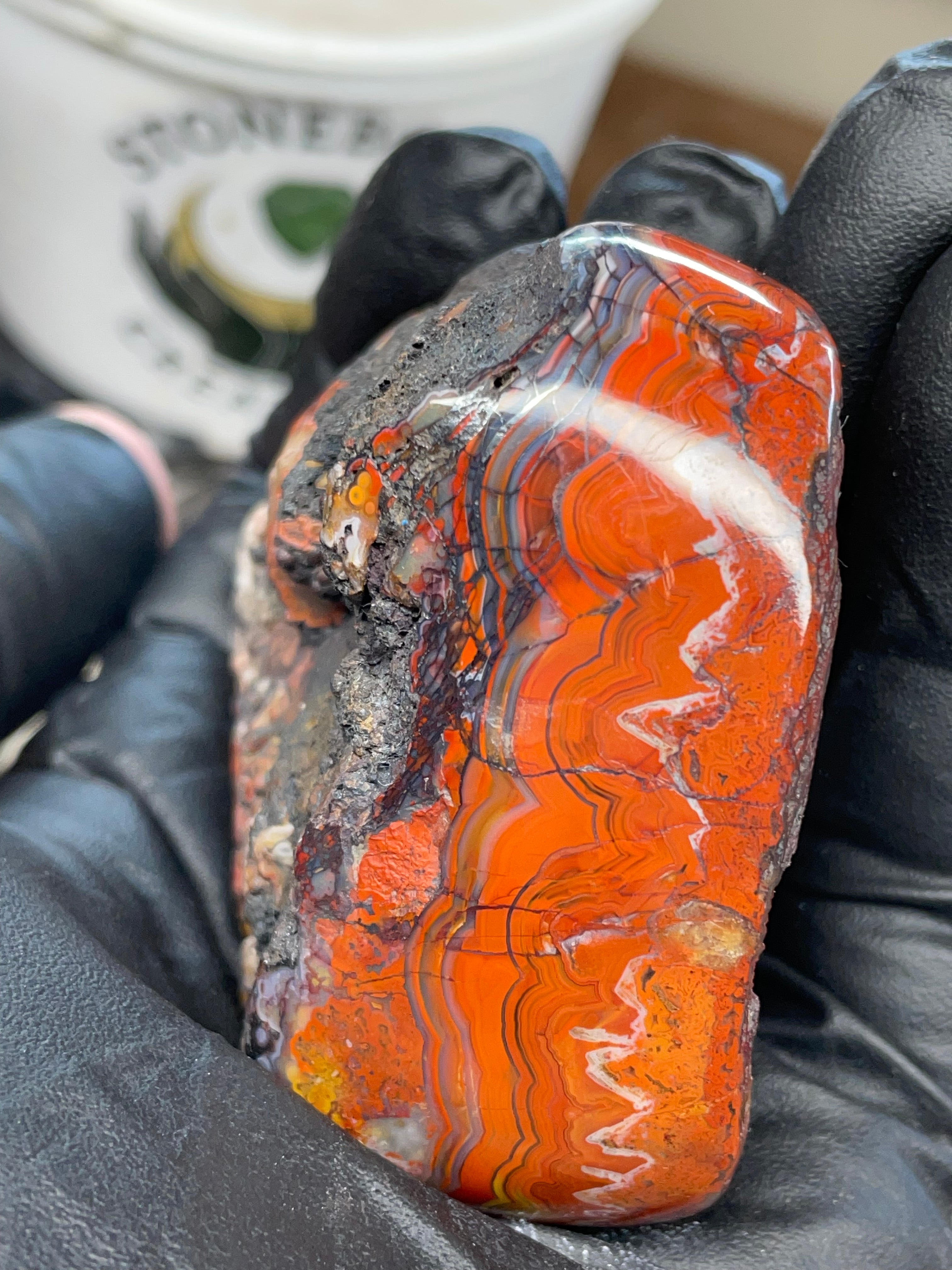 Hand Polished Banded Agate (Raw + Refined Edge)