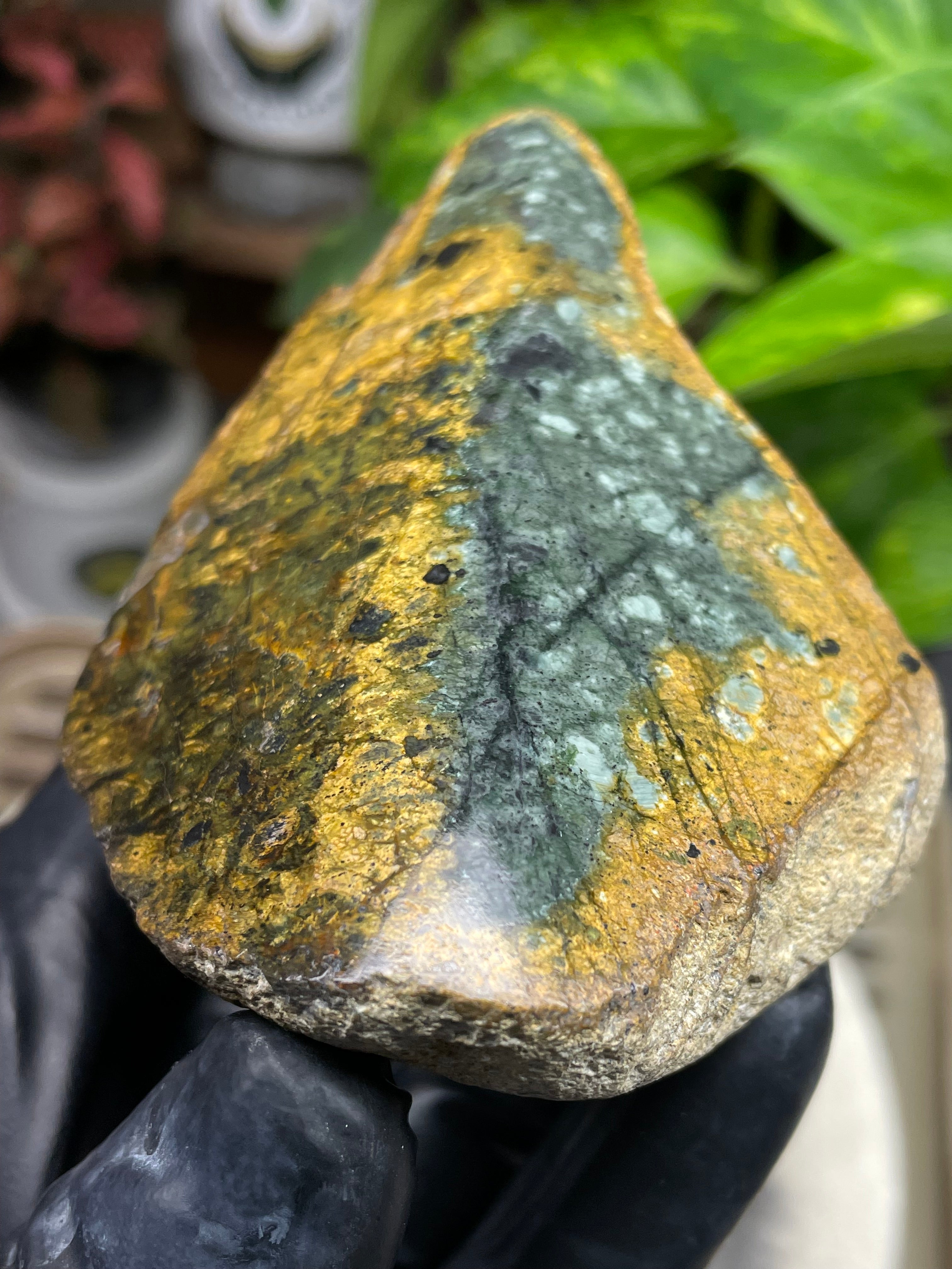 StoneBorn Creations Hand-Polished Vermont Greenstone with Golden Earth Matrix, Speckled Mineral Inclusions & Freeform Curved Finish