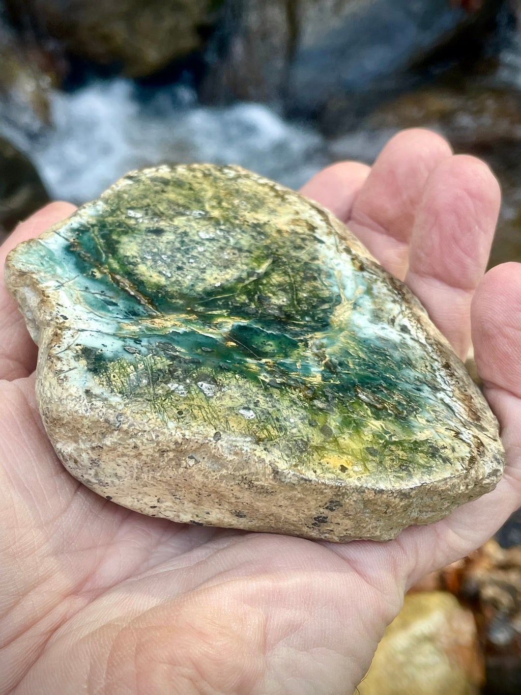 The Viral Vermont “Forest Heart” Stone • Polished Serpentine/Jadeite Mix • As Seen by Millions