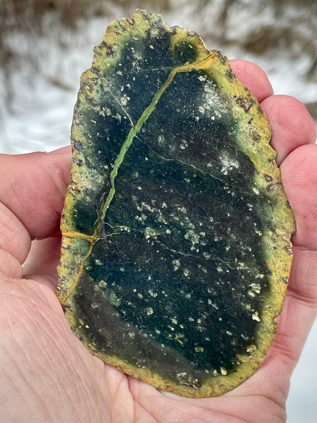 🌲 Polished Vermont Serpentine Stone – Dark Veined Freeform Slice (Hand-Collected & Polished)
