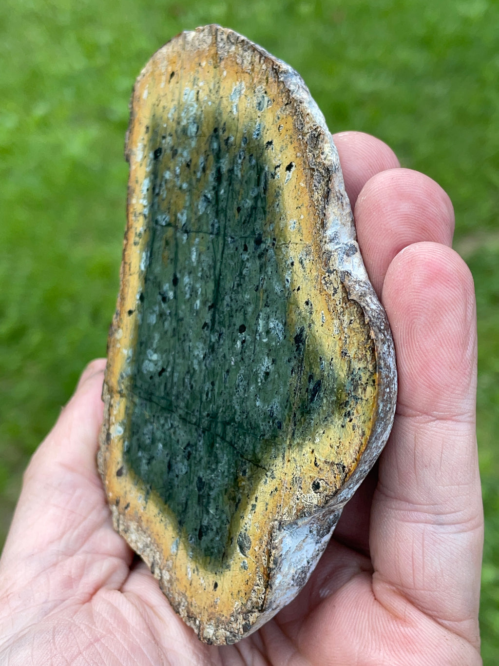 StoneBorn Creations – Deep Green Serpentine Stone Pair | Natural Matching Halves with Golden Earth Tones