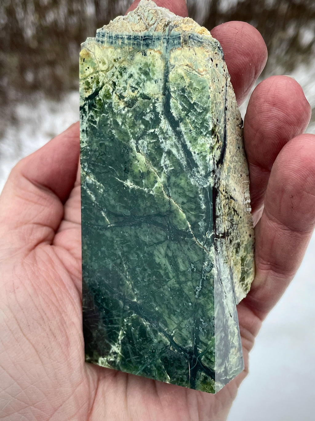 🌲 Polished Vermont Greenstone – Deep Veined Standing Stone (Hand-Collected & Polished)