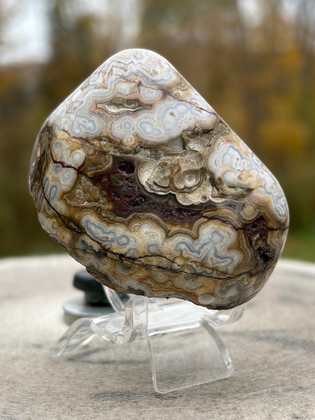 StoneBorn Creations – Crazy Lace Agate | Intricate Blue, Cream & Golden Banding | Hand-Polished Natural Stone