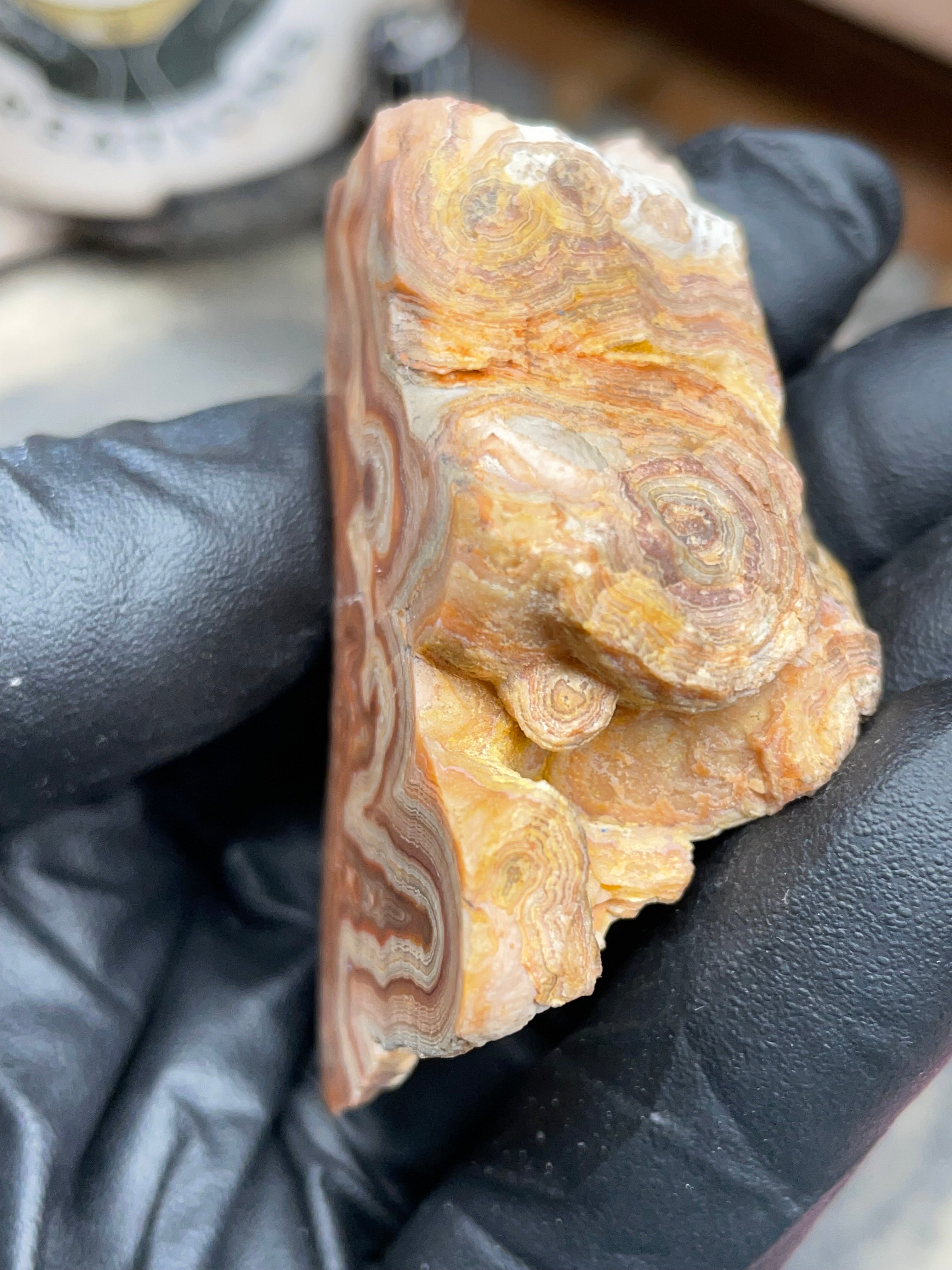 Hand-Polished Georgia Agate – Flat Polished Face, Natural Raw Edge