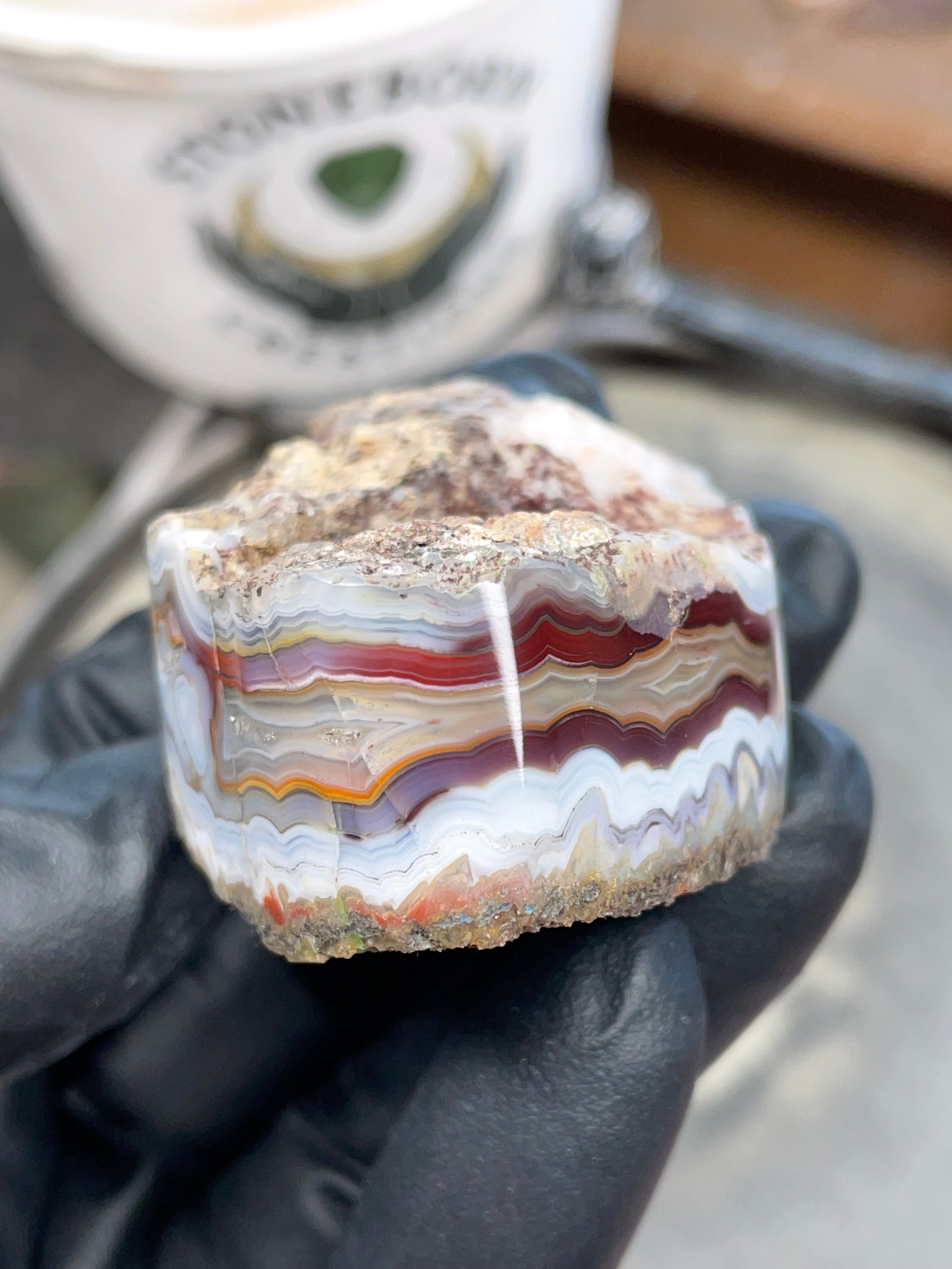 StoneBorn Creations – Hand-Collected & Hand-Polished Fortification Agate (Raw Top & Bottom)