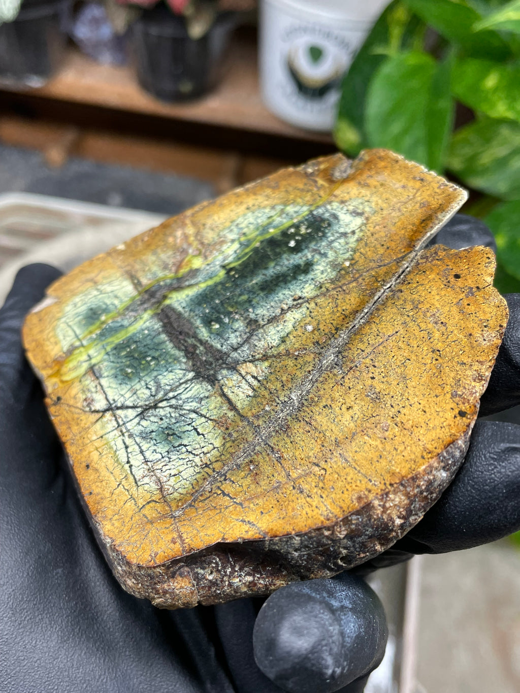 StoneBorn Creations Hand-Polished Vermont Serpentine Pair – River-Cut Matching Halves with Green Mineral Veins & Natural Fracture Patterns