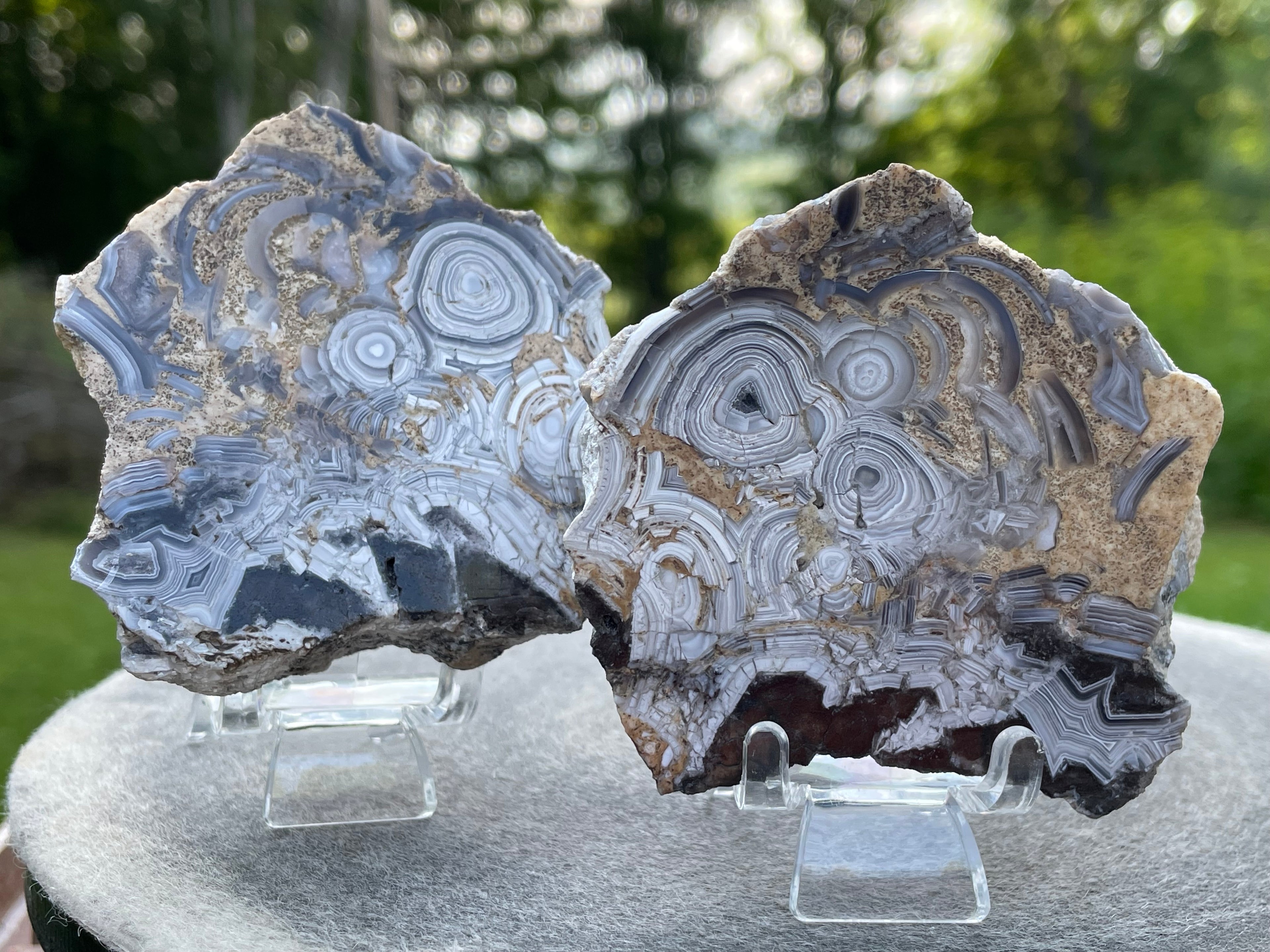 StoneBorn Creations Hand-Polished Tuxedo Lace Agate Bookmatched Pair | One-of-a-Kind Natural Display Stones