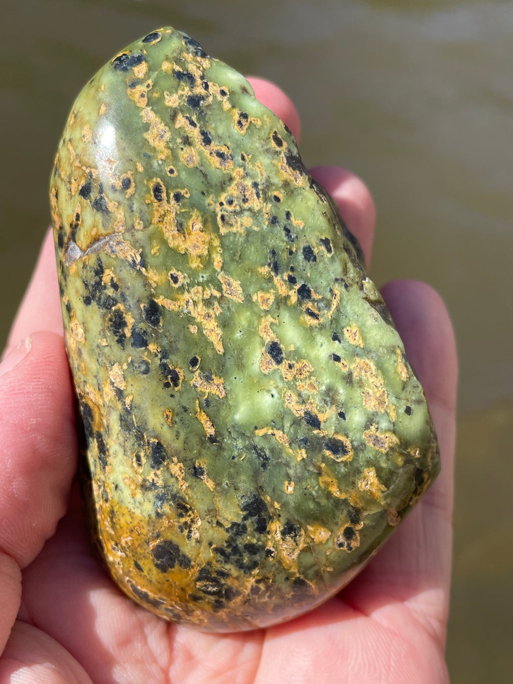 StoneBorn Creations Hand-Polished Vermont Serpentine with Black Inclusions, Golden Earth Matrix, and Natural Freeform Finish
