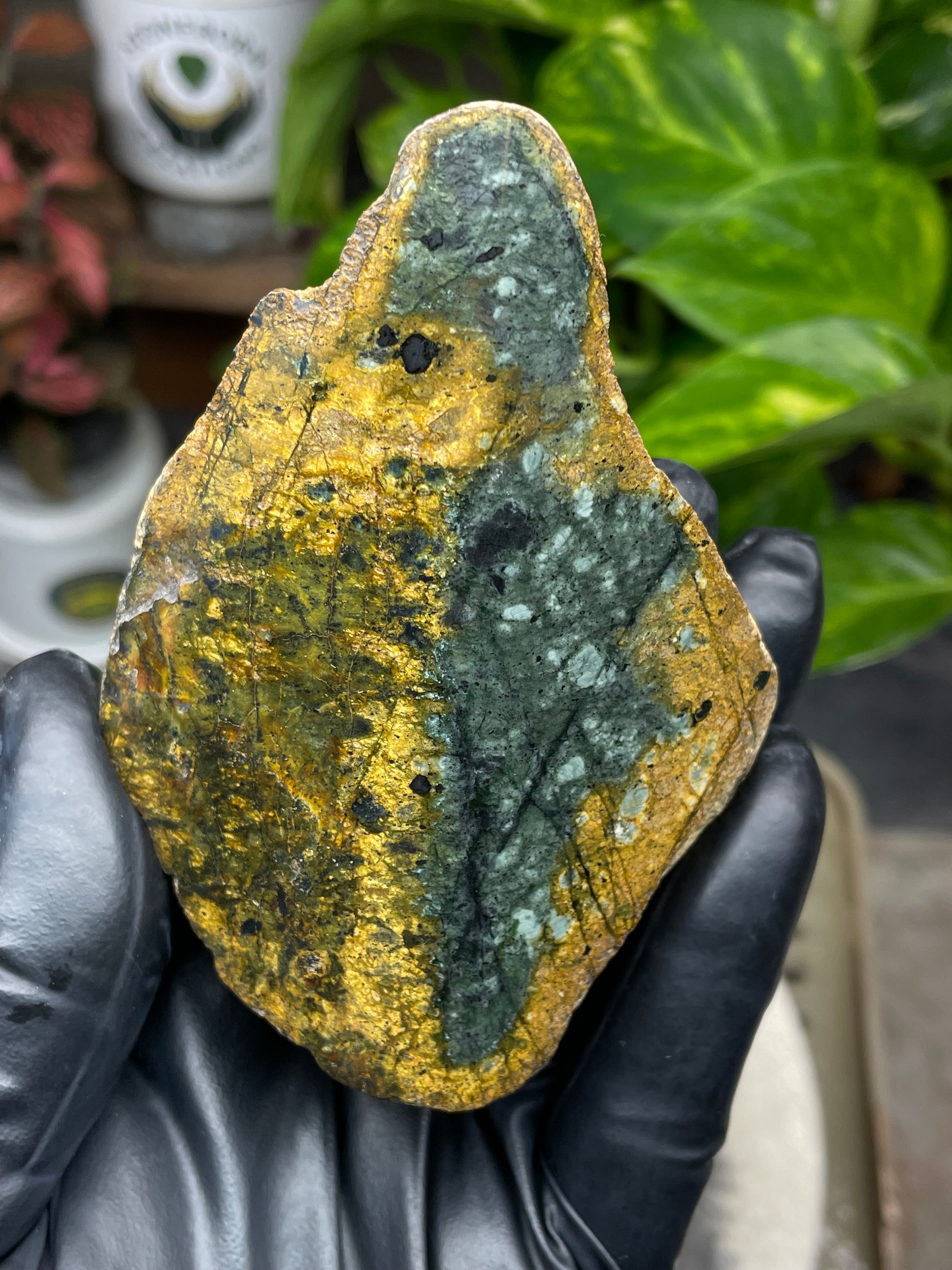 StoneBorn Creations Hand-Polished Vermont Greenstone with Golden Earth Matrix, Speckled Mineral Inclusions & Freeform Curved Finish