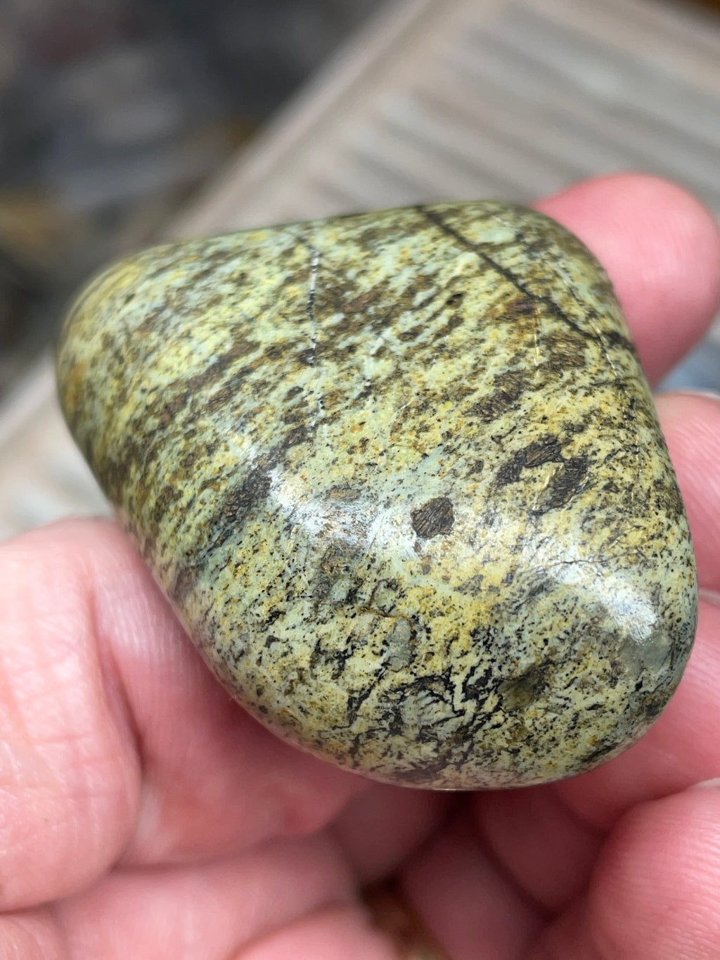 StoneBorn Creations • Hand-Polished Vermont Greenstone (Serpentine) • Moss & Shadow Speckle • Palm Stone