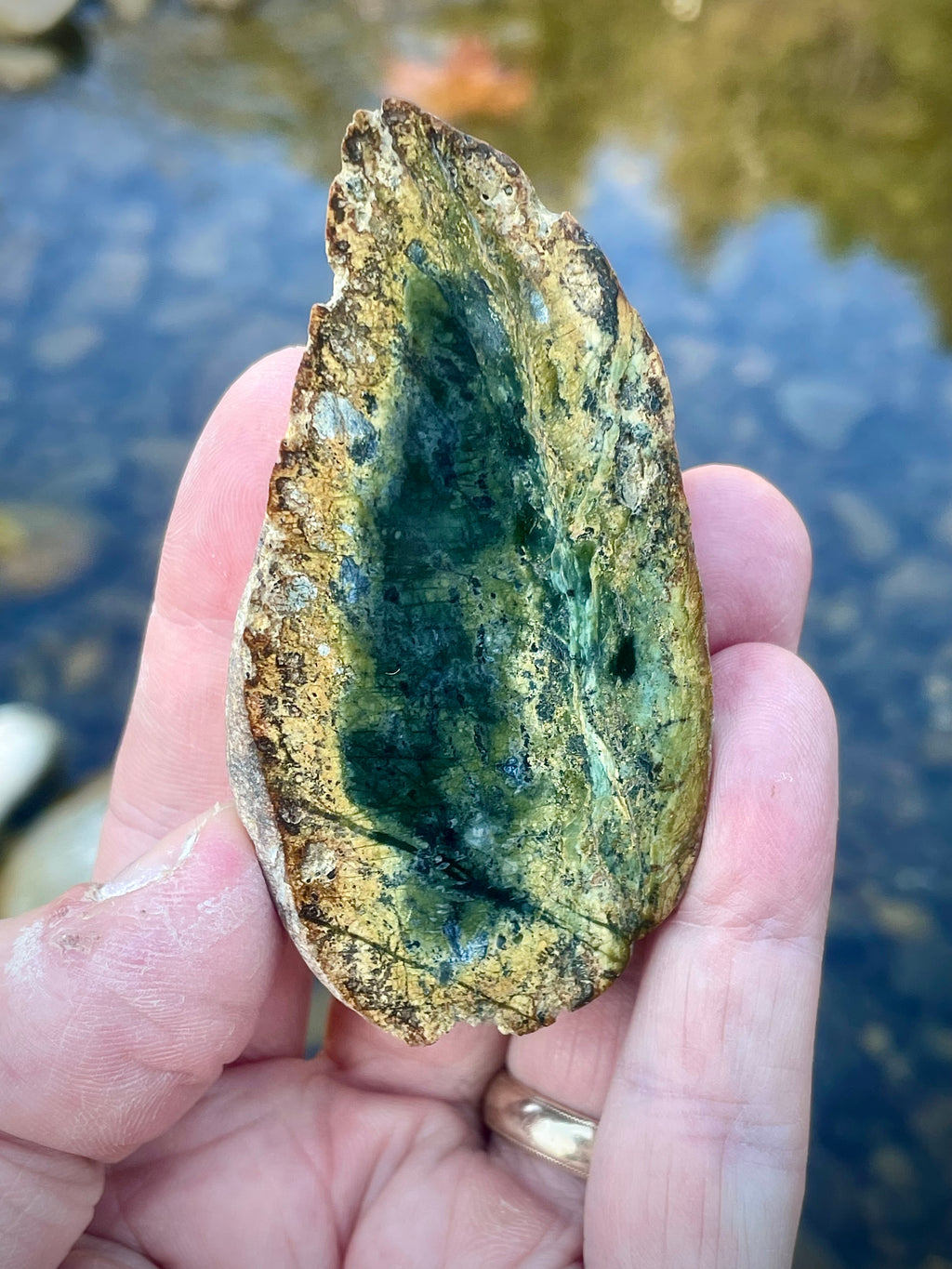 Polished Serpentine Slice • Deep Green “Inner Chamber” With Golden Halo